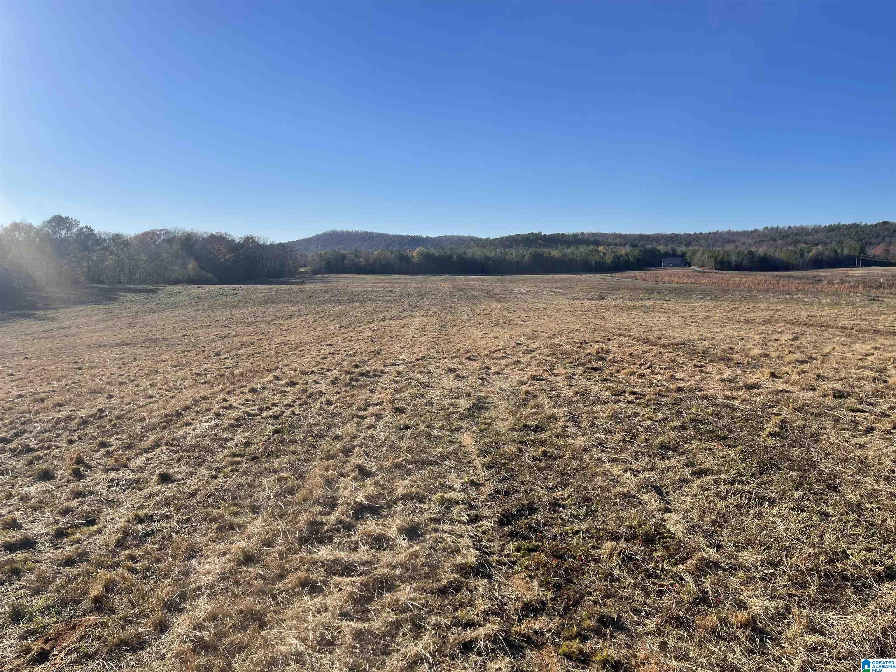 20 Acres GALLUPS LANE 3, WILSONVILLE, 35186