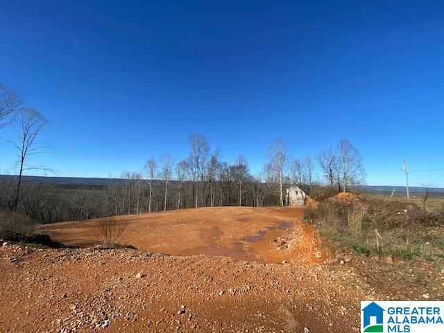 414 Stone Ridge Drive #5 AND 6, SPRINGVILLE, Alabama image 14