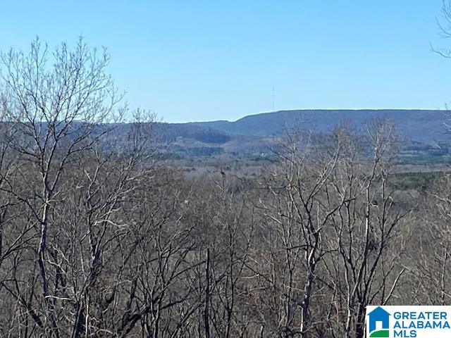 Homes for sale in Springville, AL | 414 Stone Ridge Dr, Springville, AL 35146 | MLS# 1342017