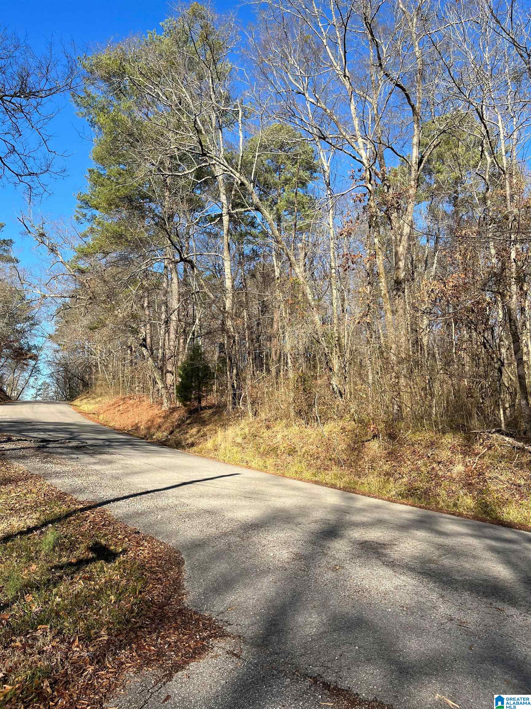 Homes for sale in Birmingham, AL | 216 Oak Forest Dr, Birmingham, AL 35217 | MLS# 1342488