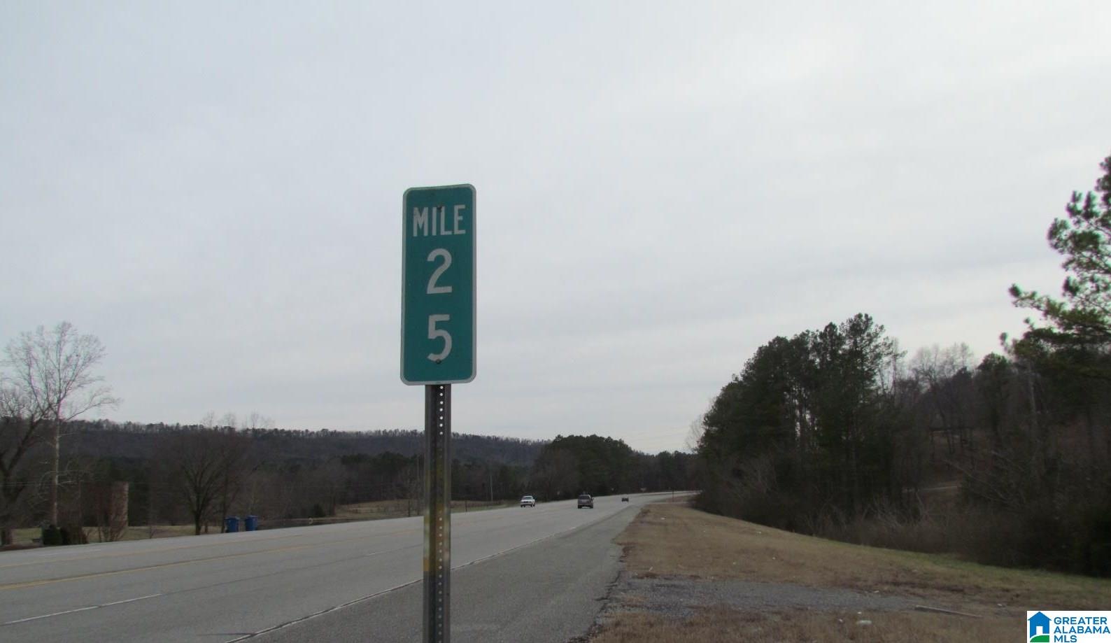 00 Highway 75, REMLAP, Alabama image 6