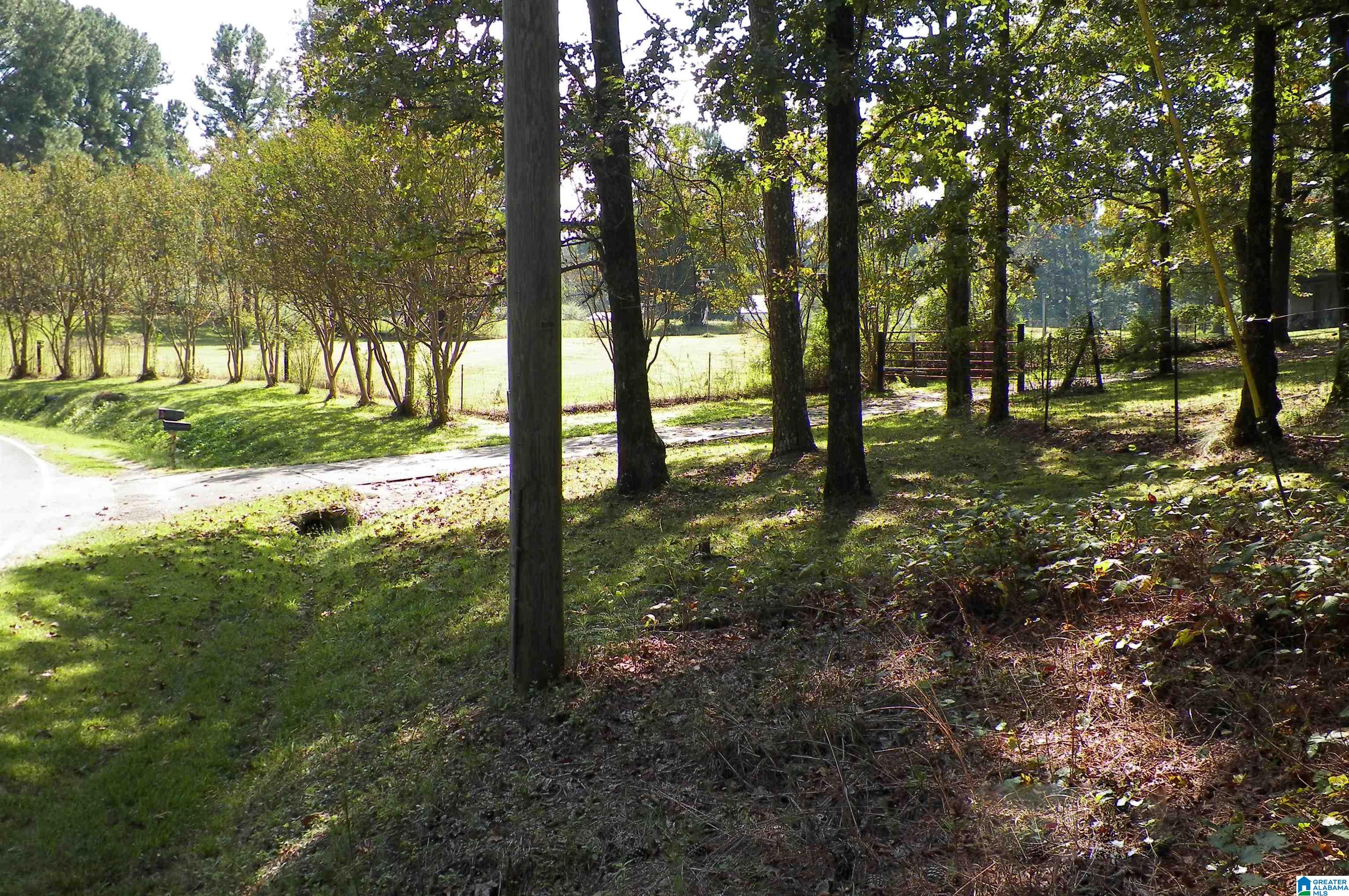 Homes for sale in Warrior, AL | 9142 Thermal Road, Warrior, AL 35180 | MLS# 1344938