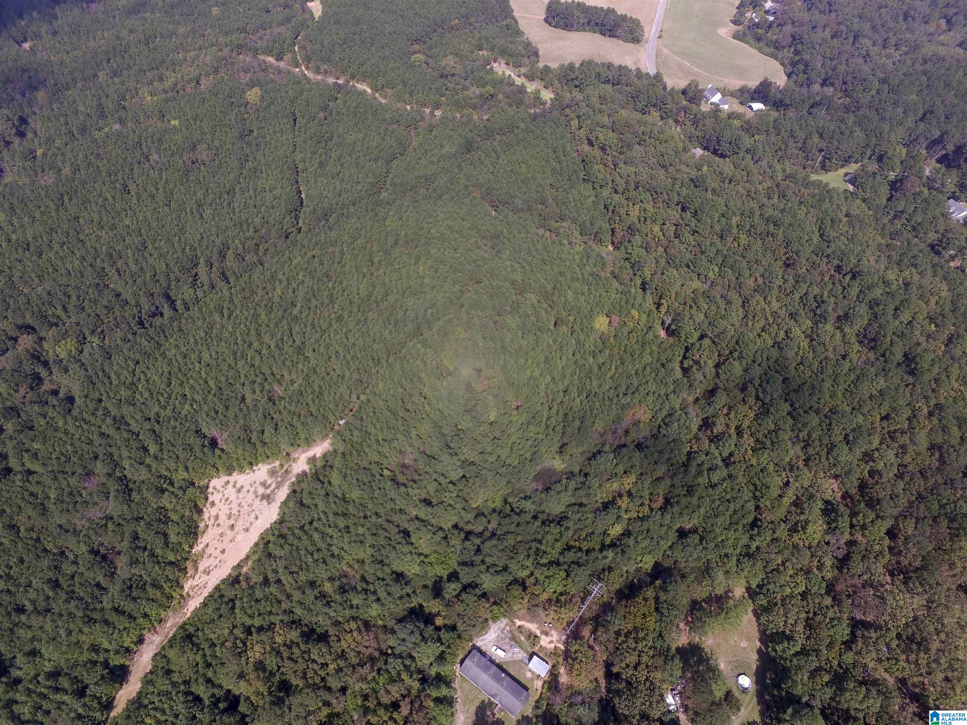 Homes for sale in Warrior, AL | 9138 Thermal Road, Warrior, AL 35180 | MLS# 1344939