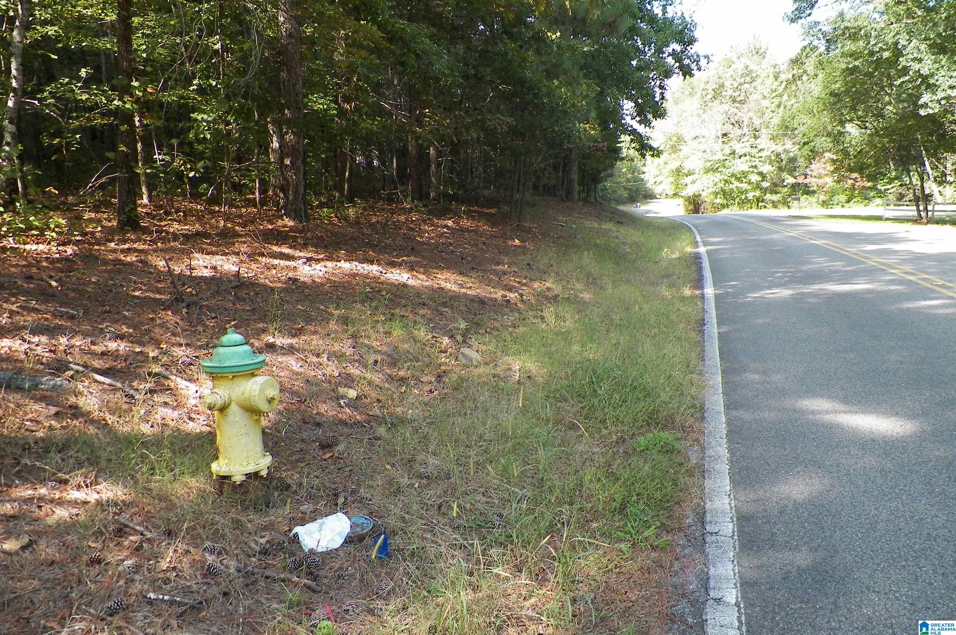 9150 Thermal Road #5, WARRIOR, Alabama image 6
