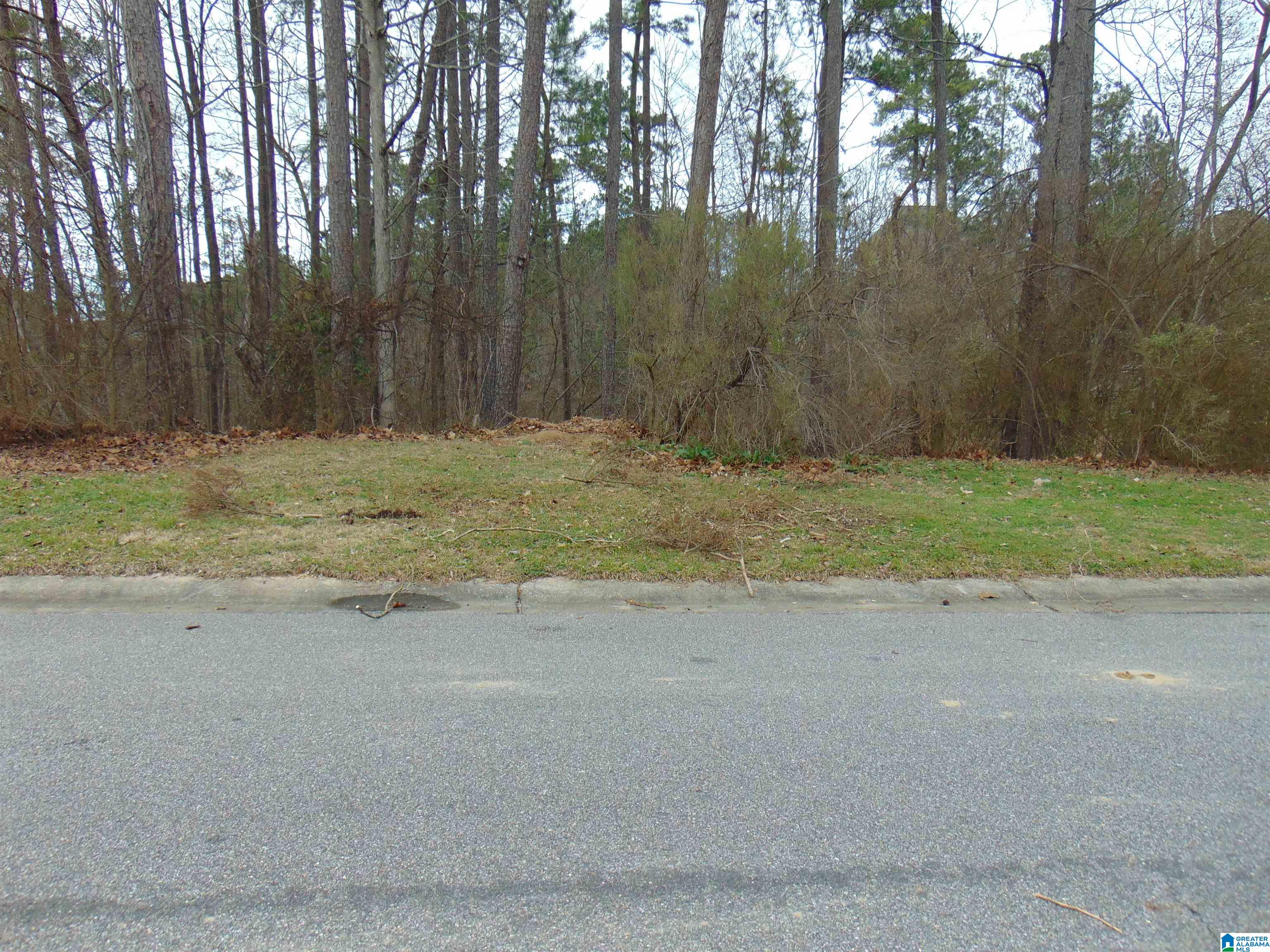 Homes for sale in Alabaster, AL | 213 Grande View Circle, Alabaster, AL 35114 | MLS# 1345240