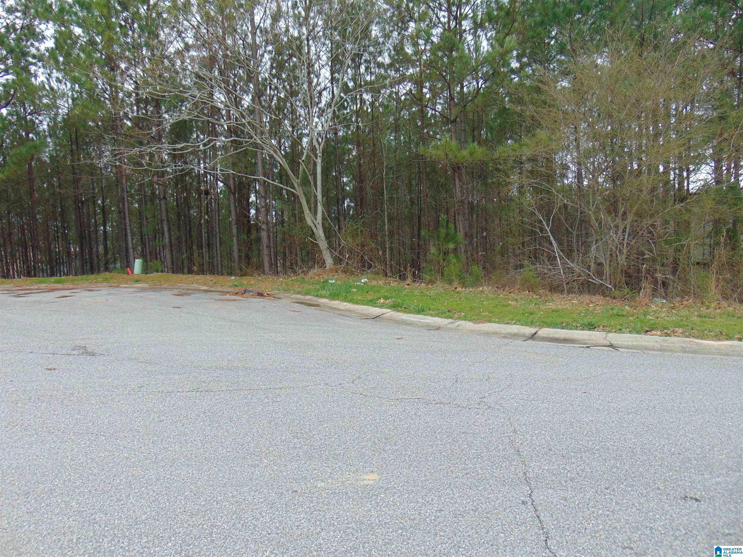 Homes for sale in Alabaster, AL | 1210 Grande View Lane, Alabaster, AL 35114 | MLS# 1345248