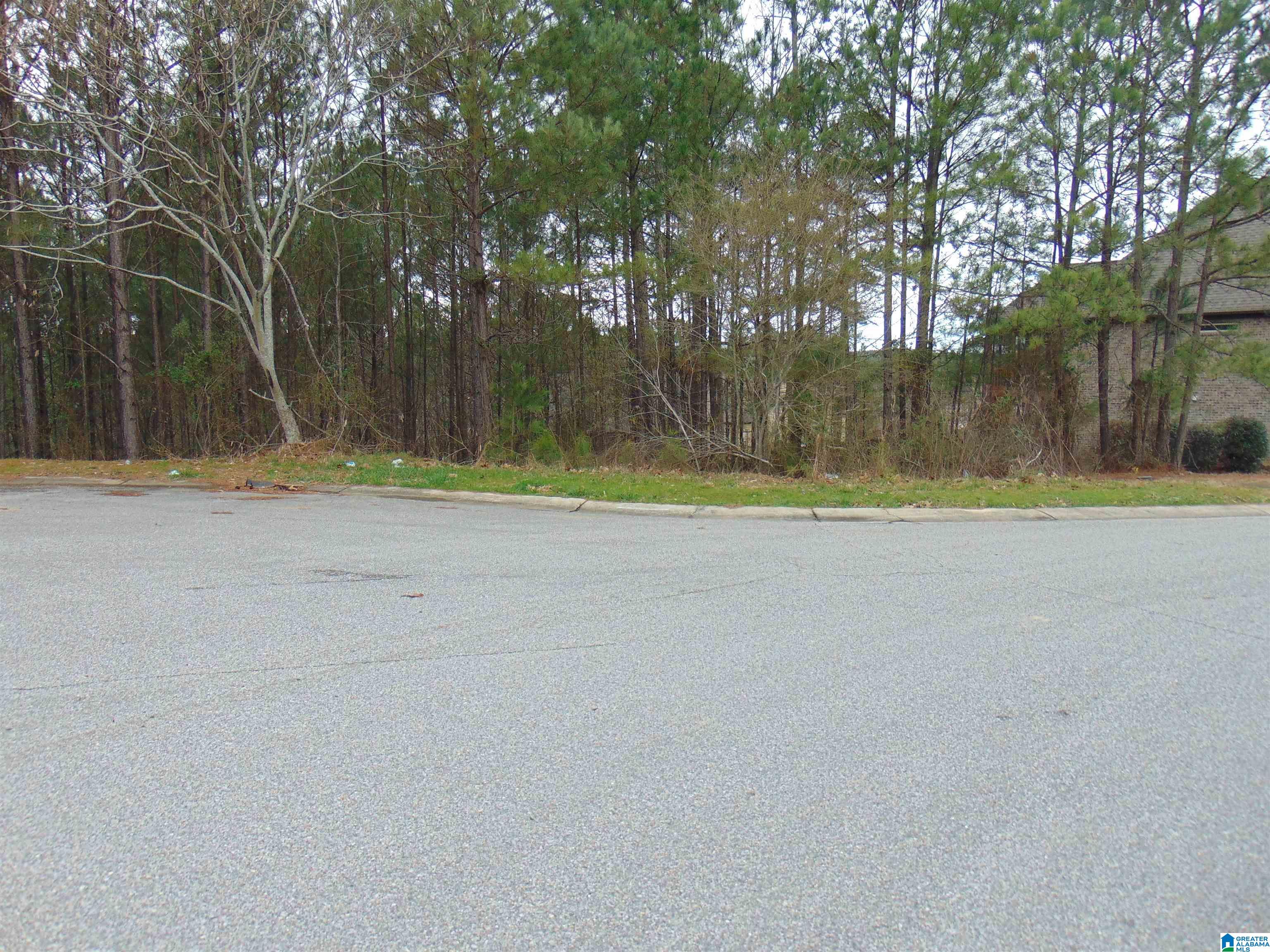 Homes for sale in Alabaster, AL | 1210 Grande View Lane, Alabaster, AL 35114 | MLS# 1345248