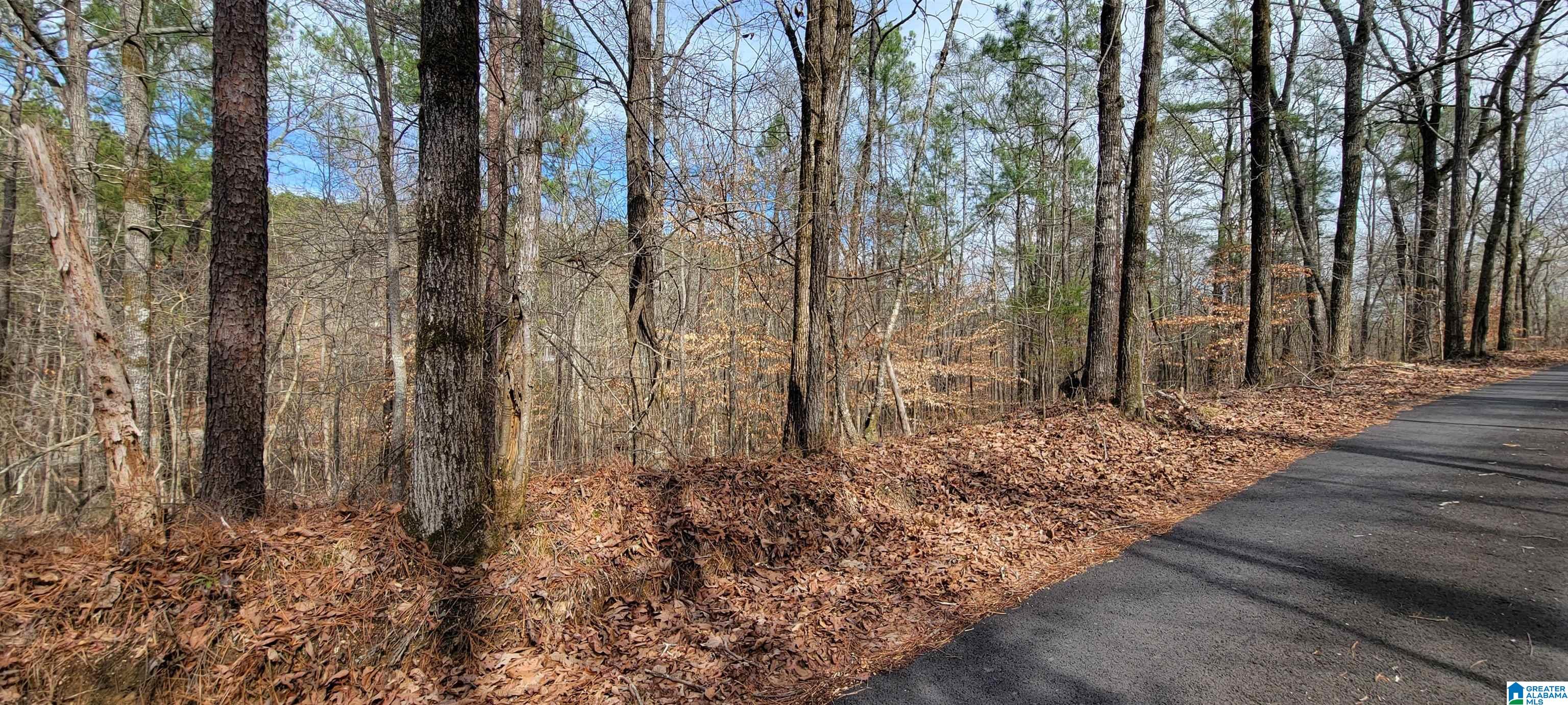 Homes for sale in Riverside, AL | 45 Coosa View Lane, Riverside, AL 35135 | MLS# 1345449