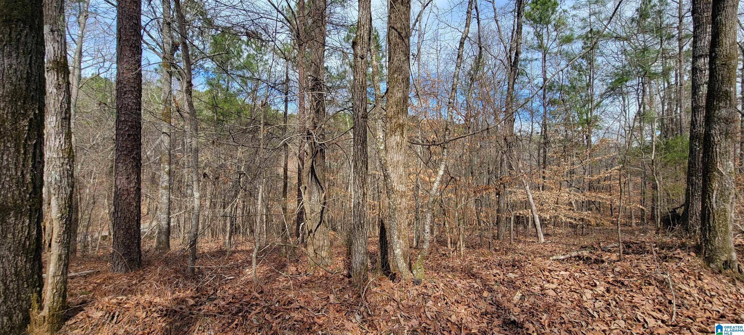 Homes for sale in Riverside, AL | 45 Coosa View Lane, Riverside, AL 35135 | MLS# 1345449