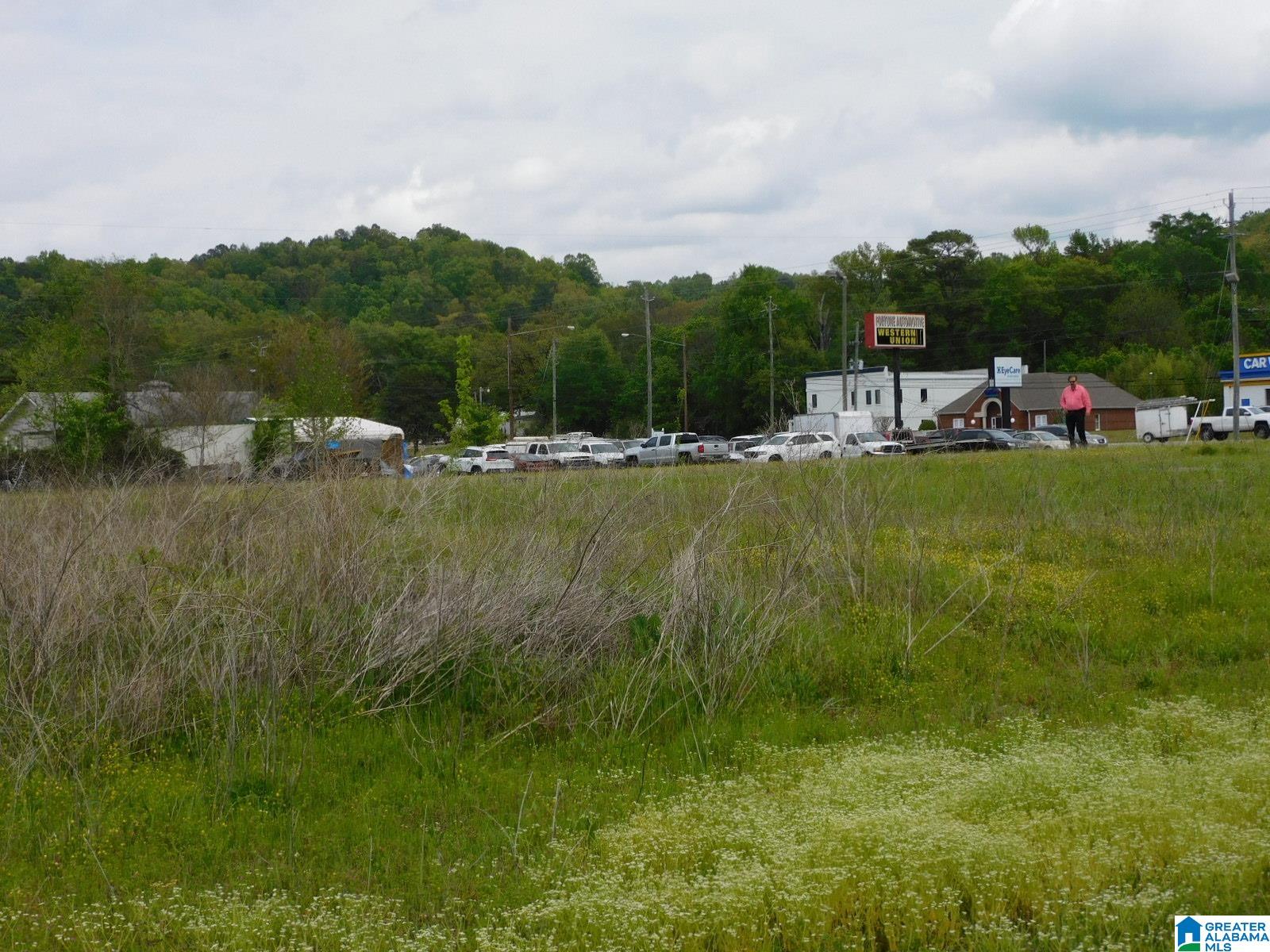 MLS 1345452 34363438 PELHAM PARKWAY PELHAM, Alabama 35124