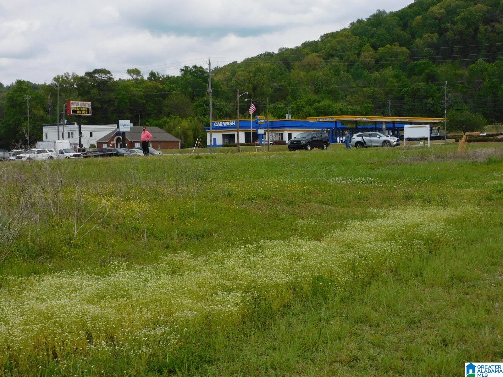 MLS 1345452 34363438 PELHAM PARKWAY PELHAM, Alabama 35124