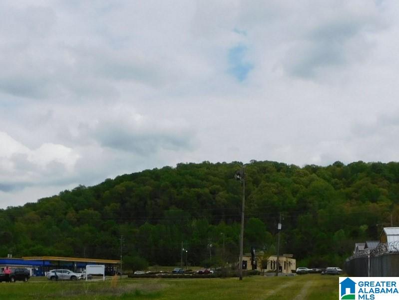 Homes for sale in Pelham, AL | 0000 Midridge Lane, Pelham, AL 35124 | MLS# 1345542