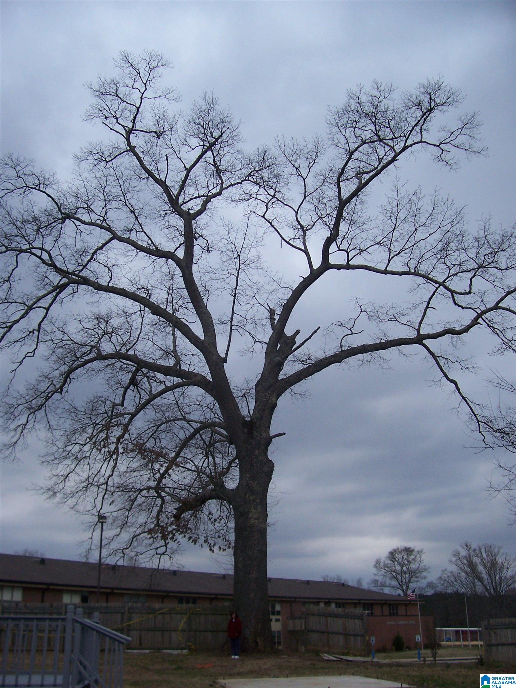 Homes for sale in Leeds, AL | 2411 Floyd Bradford Road, Leeds, AL 35173 | MLS# 1347385