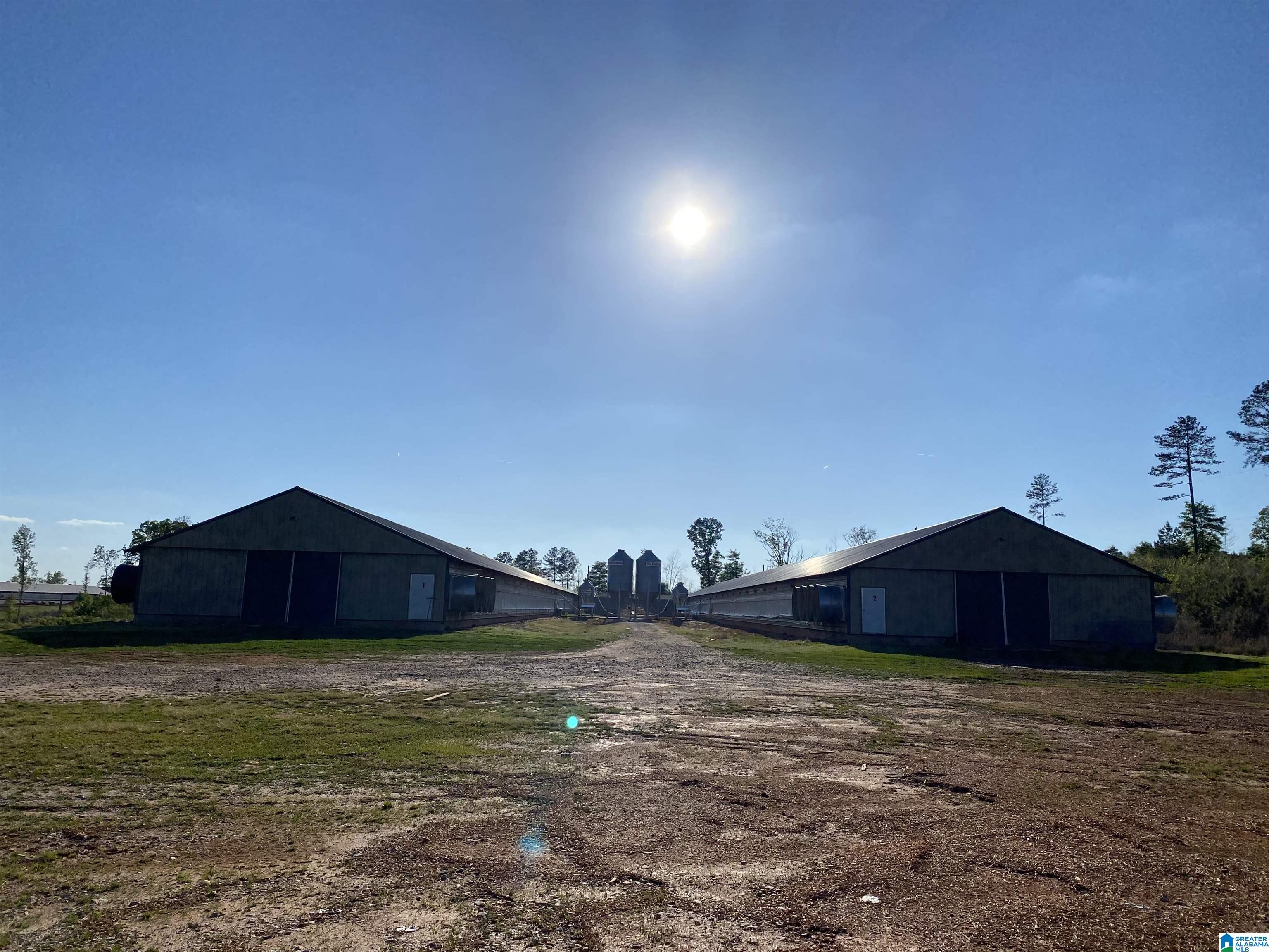 Land for sale in NEWELL, Alabama, 1347605