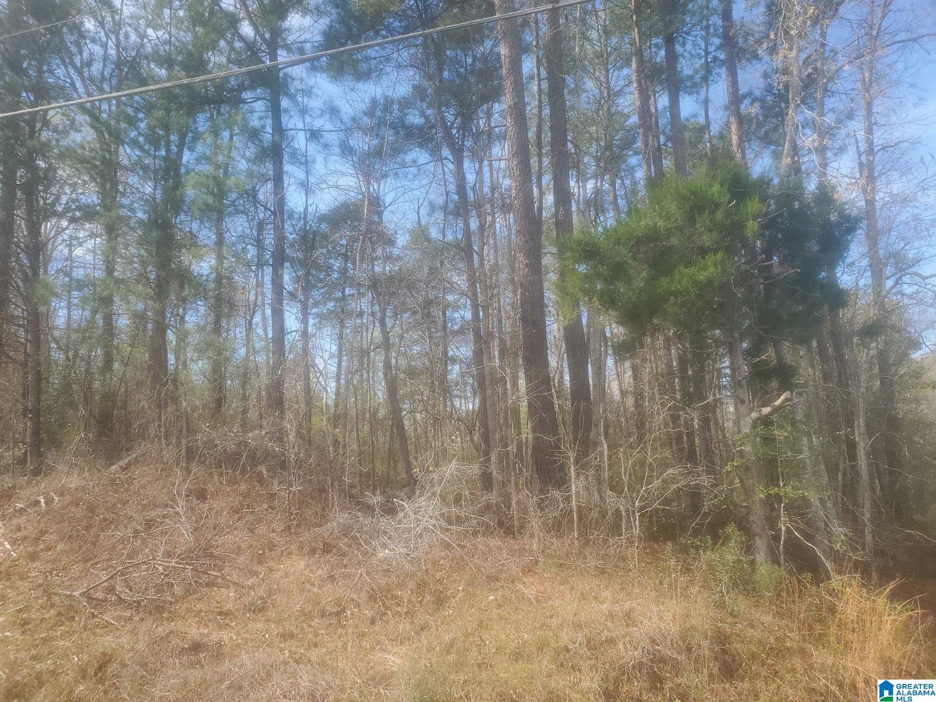 Homes for sale in Tuscaloosa, AL | E Hargrove Road, Tuscaloosa, AL 35403 | MLS# 1347796