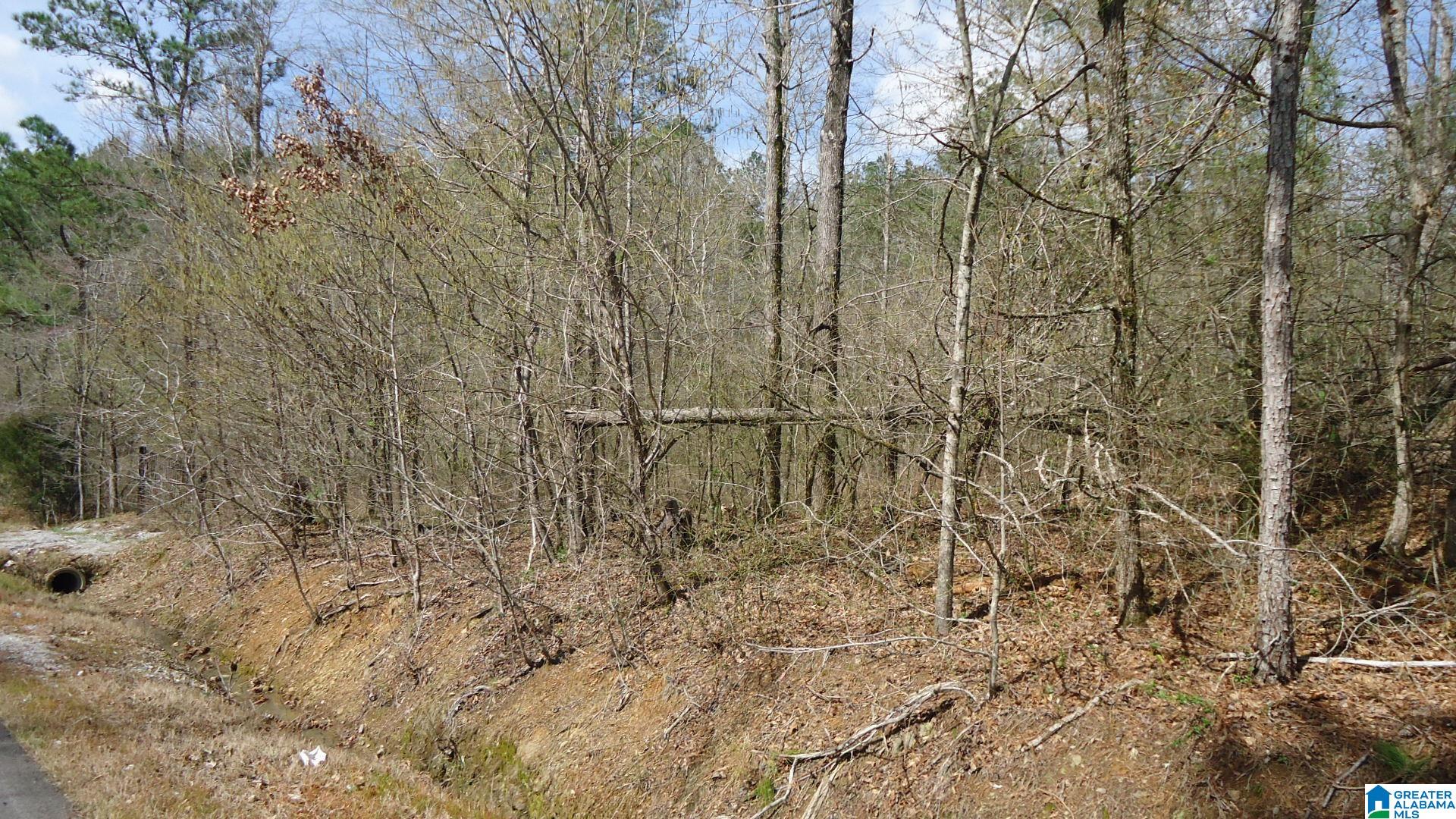 Homes for sale in Ohatchee, AL | 551 Grayton Road S, Ohatchee, AL 36206 | MLS# 1347996