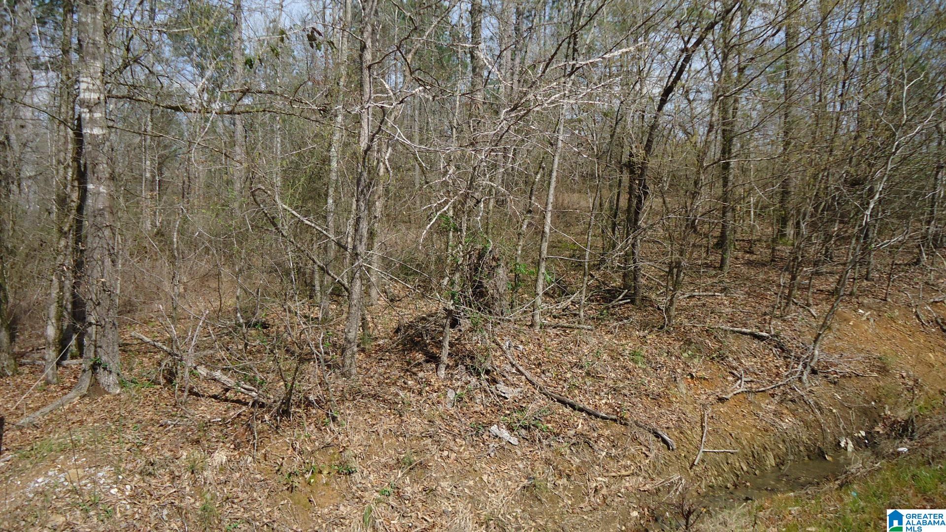 Homes for sale in Ohatchee, AL | 551 Grayton Road S, Ohatchee, AL 36206 | MLS# 1347996