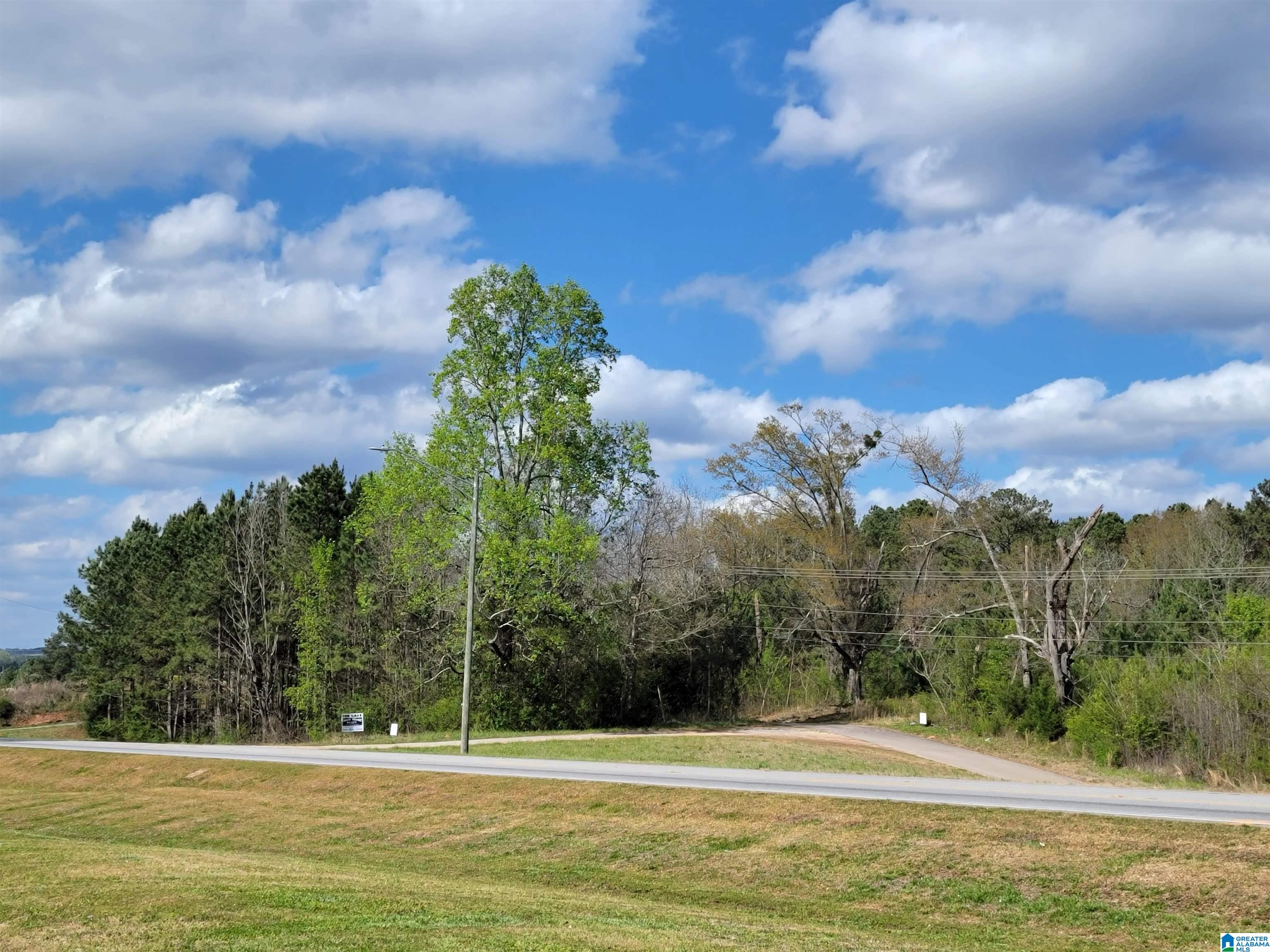 3 +/- Highway 431 #2, ROANOKE, Alabama image 5