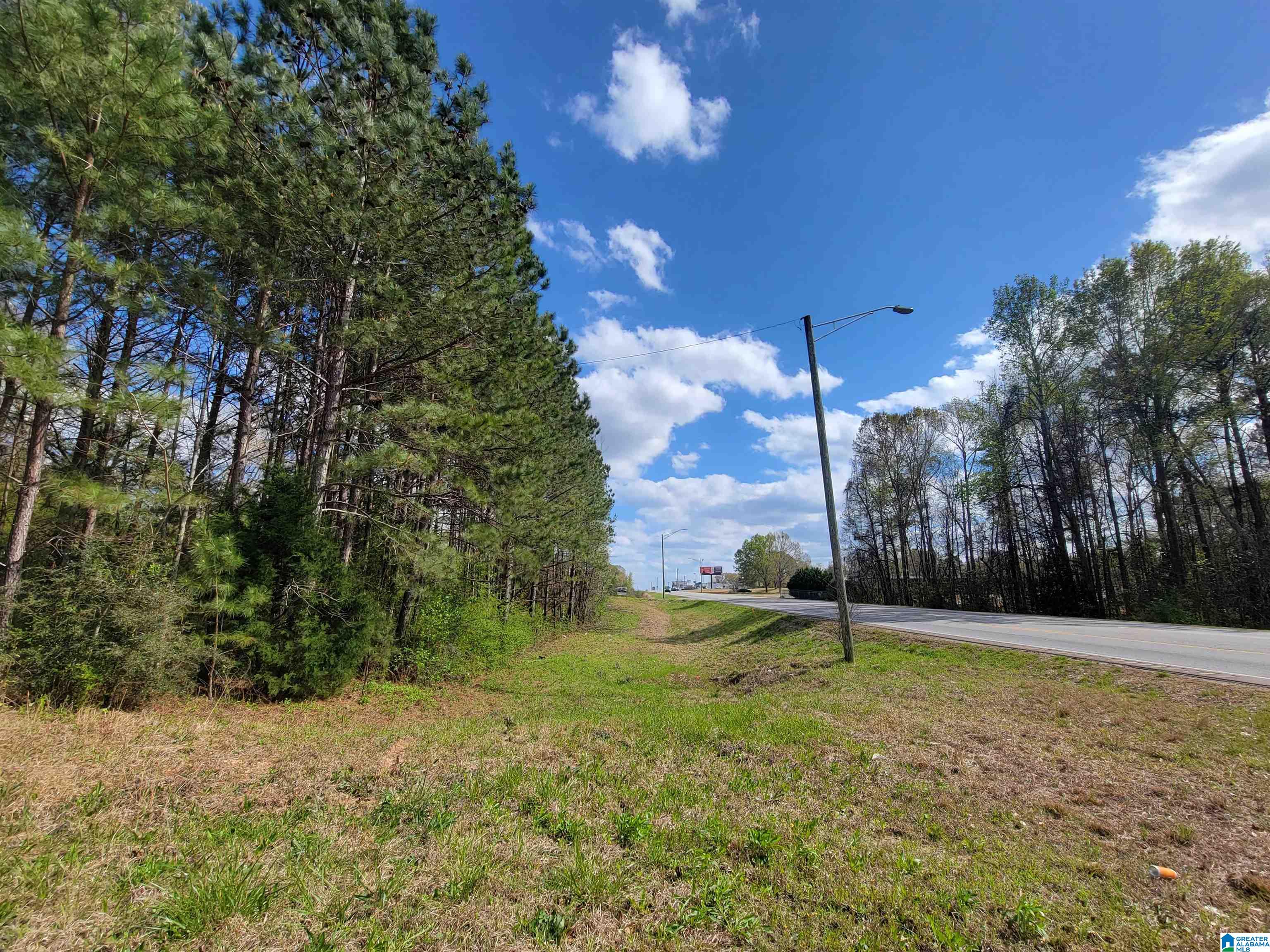 3 +/- Acres Highway 431 #3, ROANOKE, Alabama image 3