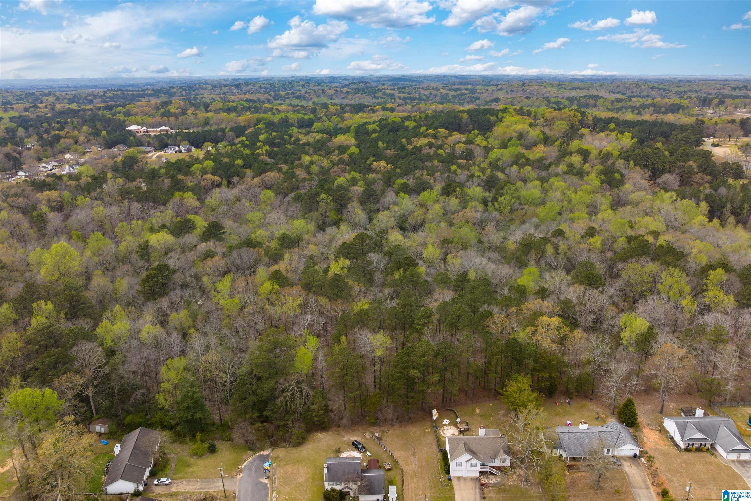 Homes for sale in Northport, AL | 0 Hwy 69 N, Northport, AL 35473 | MLS# 1350295