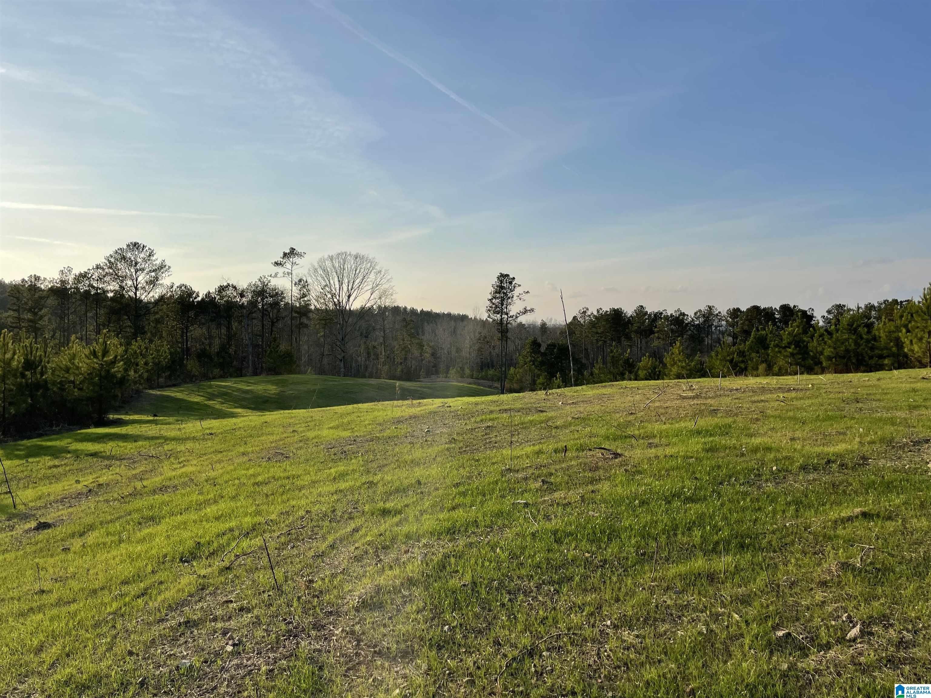 Land for sale in COLUMBIANA, Alabama, 1350320