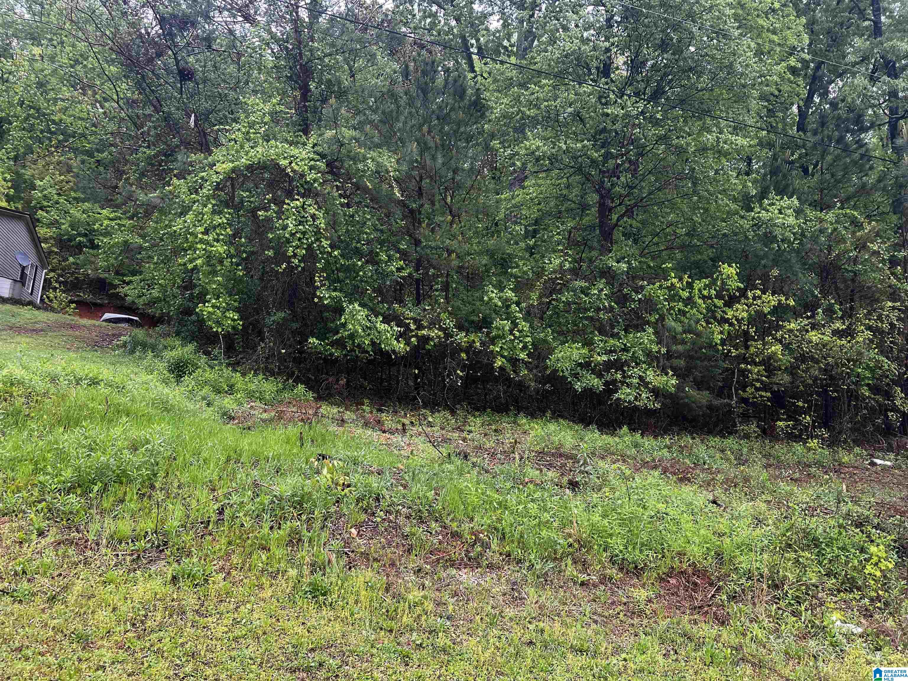 Homes for sale in Cropwell, AL | Lot 6 Cason Lane, Cropwell, AL 35054 | MLS# 1351346