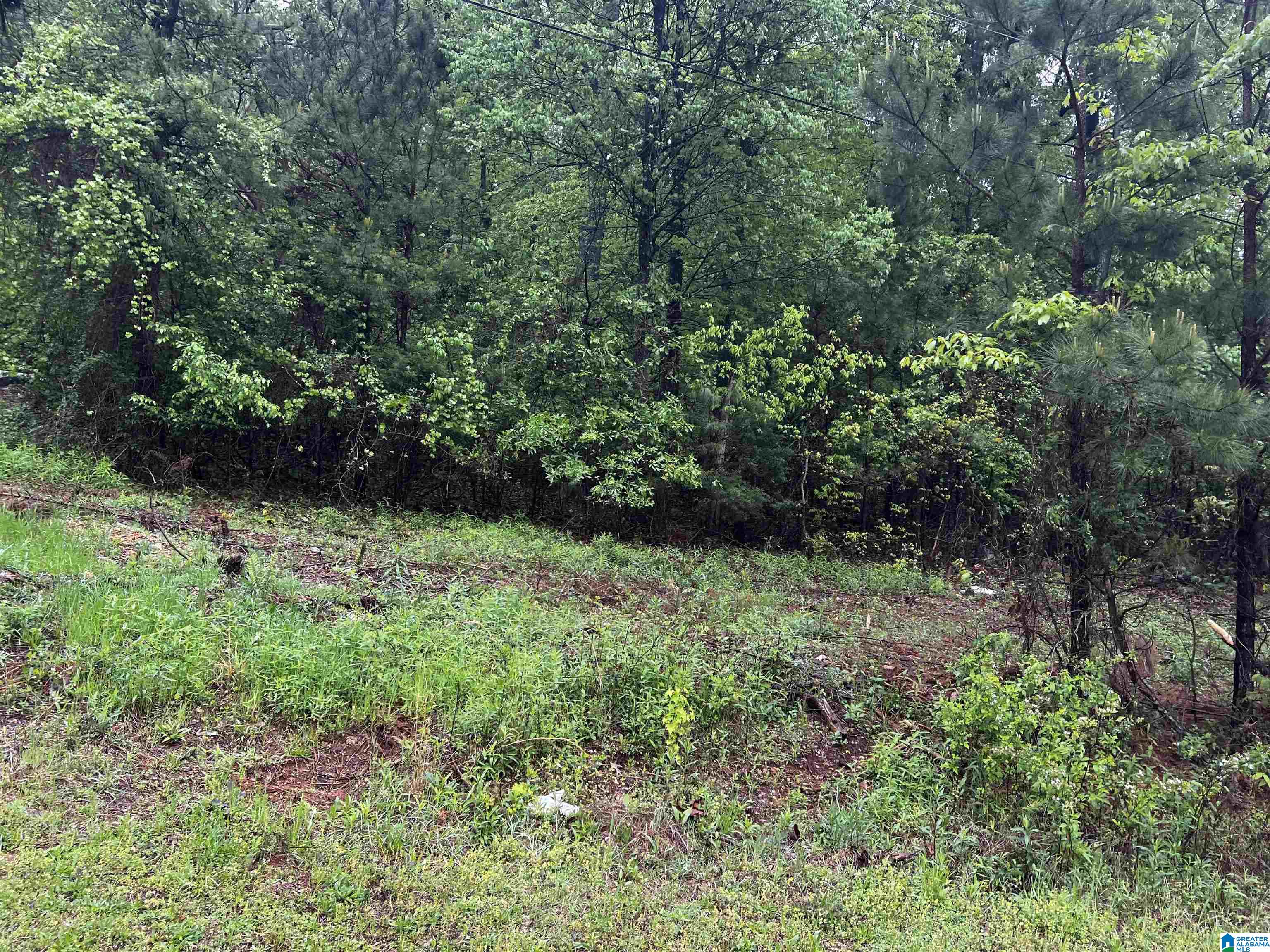 Homes for sale in Cropwell, AL | Lot 6 Cason Lane, Cropwell, AL 35054 | MLS# 1351346