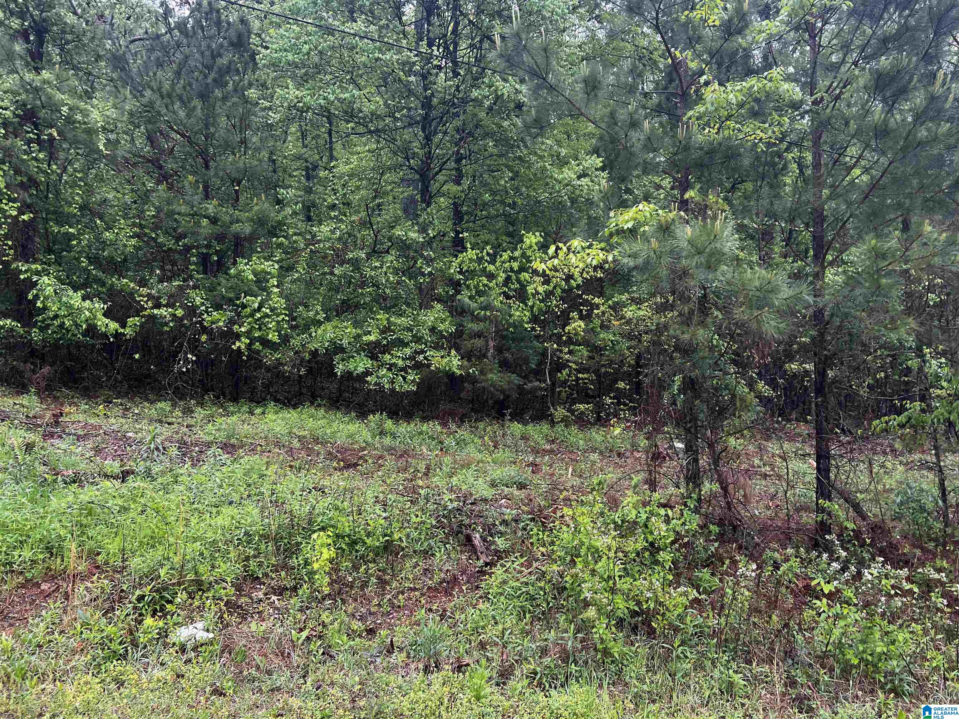 Homes for sale in Cropwell, AL | Lot 6 Cason Lane, Cropwell, AL 35054 | MLS# 1351346