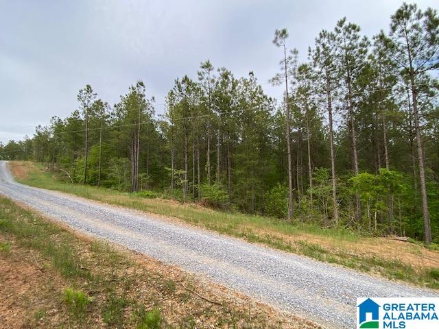 Homes for sale in Columbiana, AL | Haven Dr, Columbiana, AL 35051 | MLS# 1352138