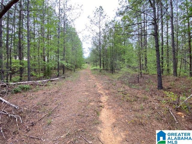 Homes for sale in Columbiana, AL | Haven Dr, Columbiana, AL 35051 | MLS# 1352138