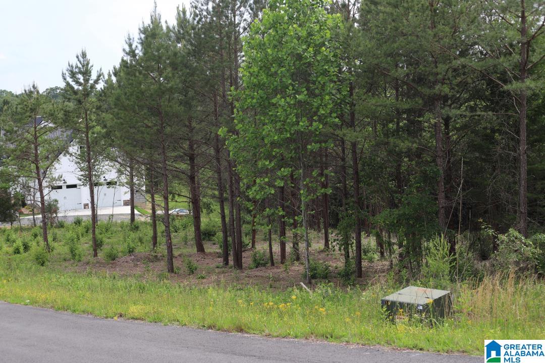 0 HILLSIDE DRIVE