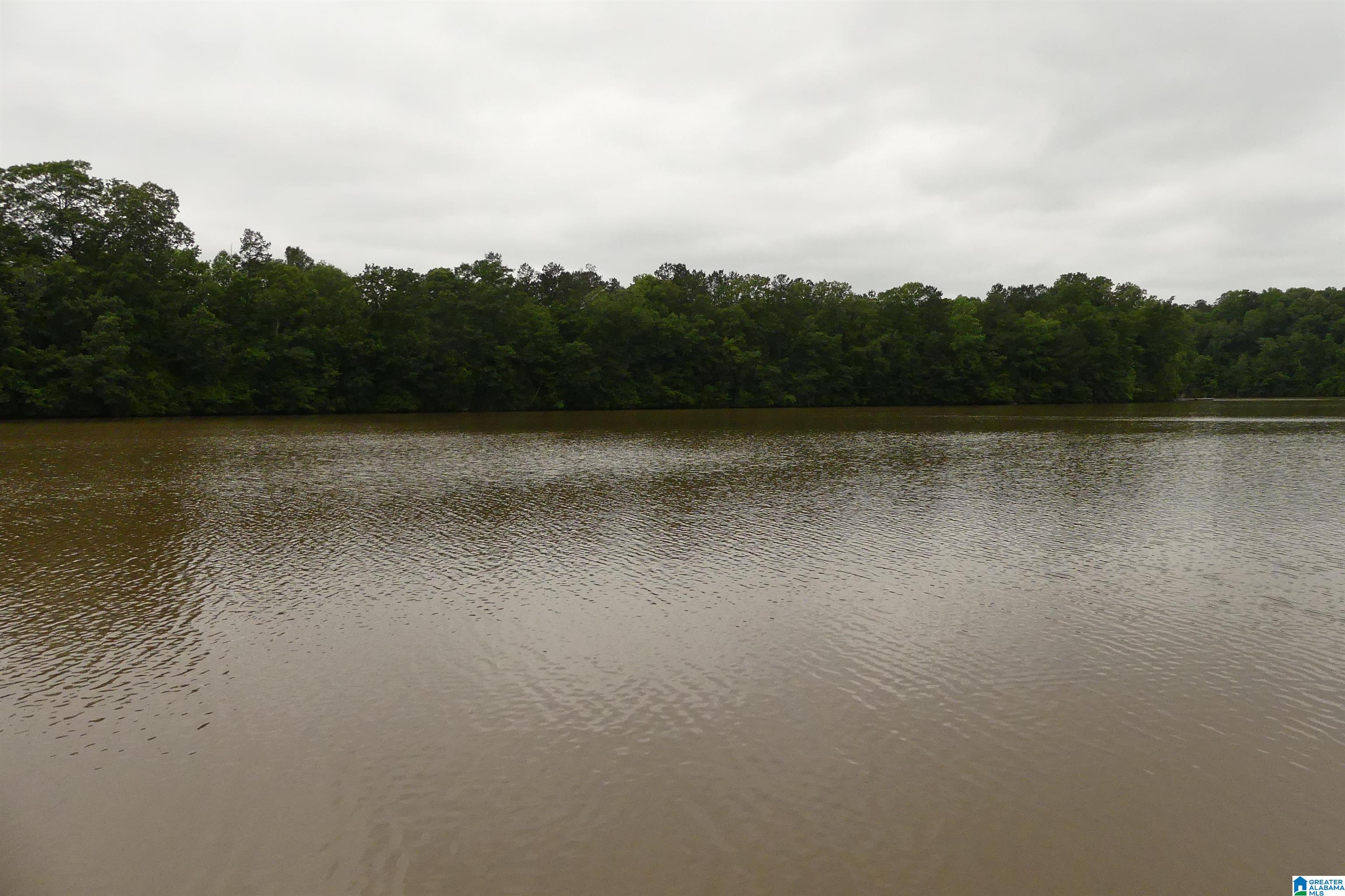 Homes for sale in Wedowee, AL | Lot 9 Peninsula Dr, Wedowee, AL 36278 | MLS# 1354657