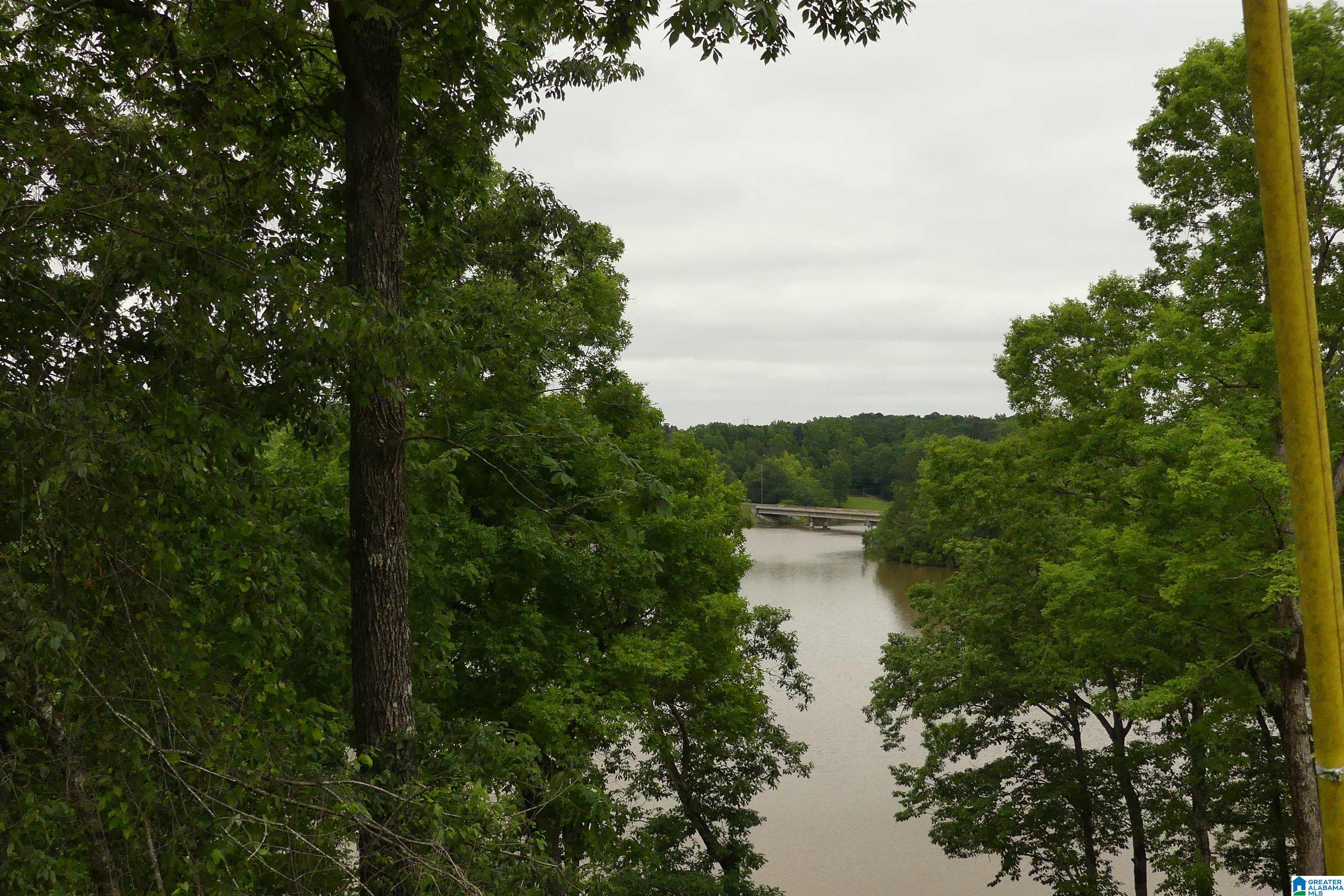 Homes for sale in Wedowee, AL | Lot 9 Peninsula Dr, Wedowee, AL 36278 | MLS# 1354657