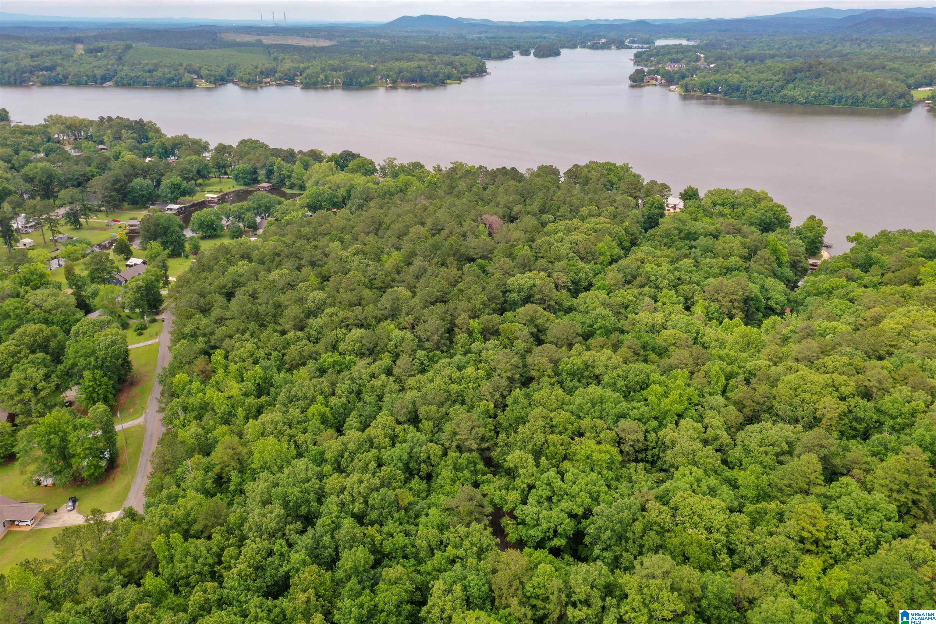 River Drive #35, SHELBY, Alabama image 8