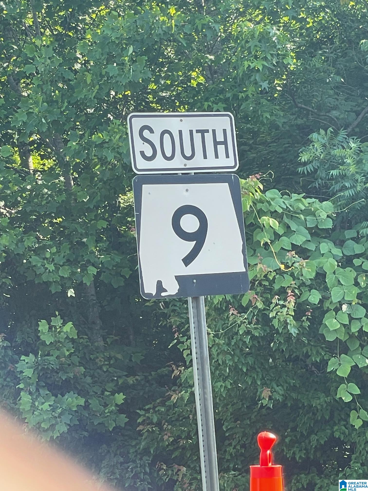 Highway 9 #5, HEFLIN, Alabama image 9