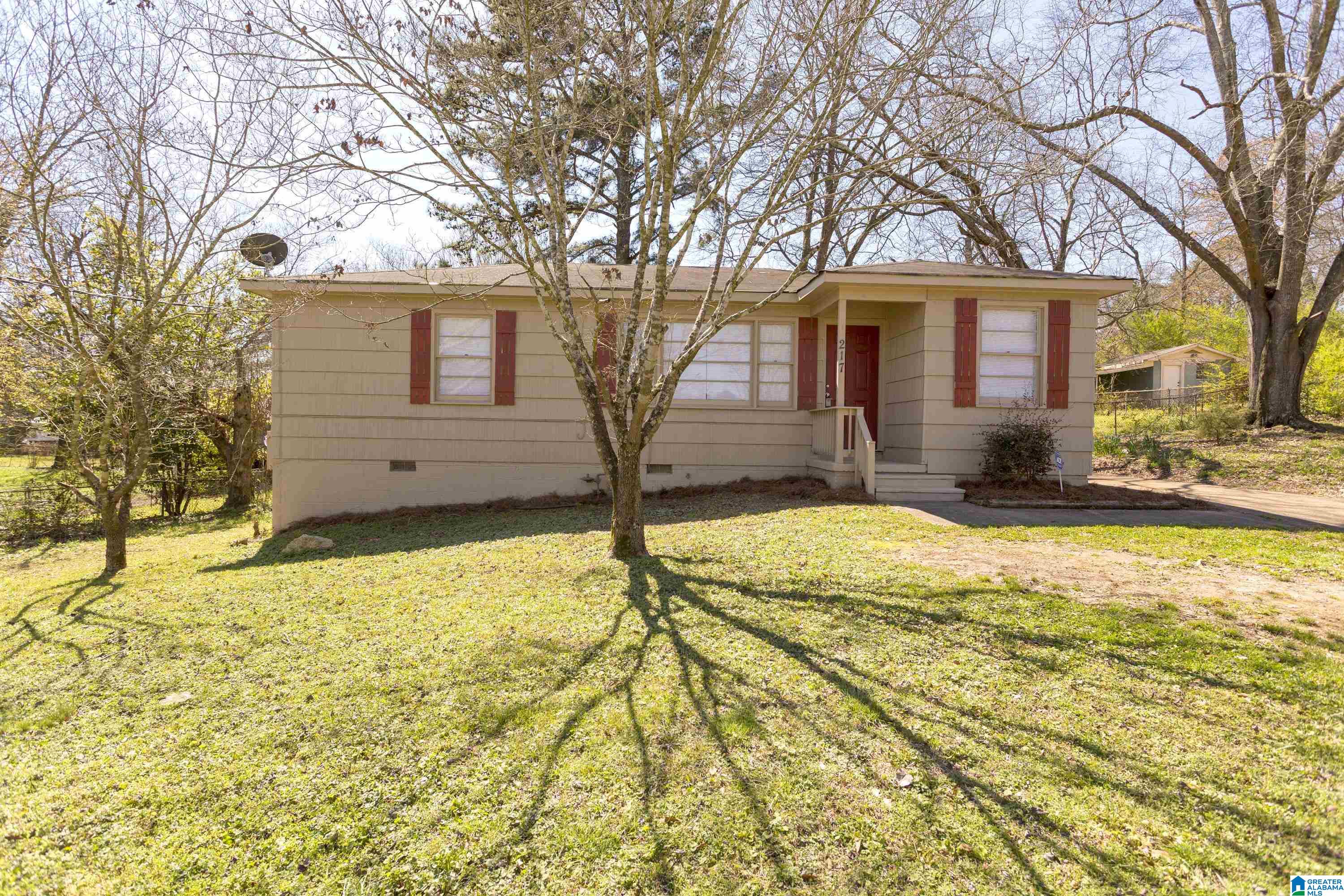 217 LAKE DRIVE CIRCLE NE