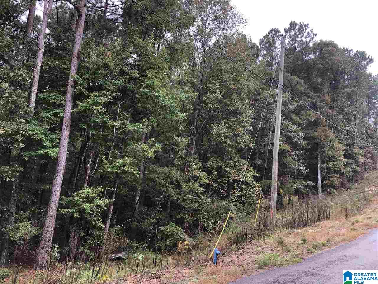 Homes for sale in Odenville, AL | 13 Hickory Lane, Odenville, AL 35120 | MLS# 1357213