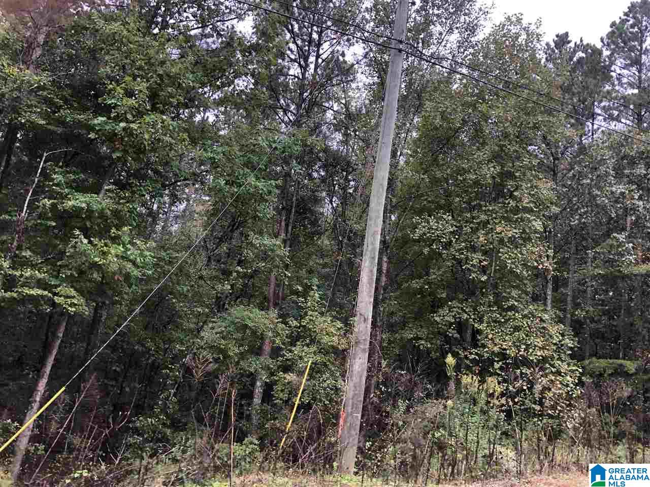 Homes for sale in Odenville, AL | 13 Hickory Lane, Odenville, AL 35120 | MLS# 1357213