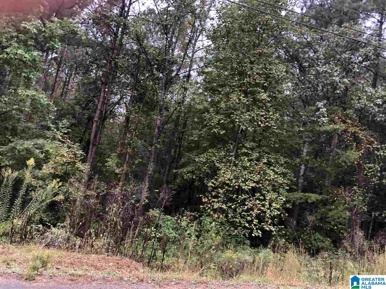 Homes for sale in Odenville, AL | 13 Hickory Lane, Odenville, AL 35120 | MLS# 1357213