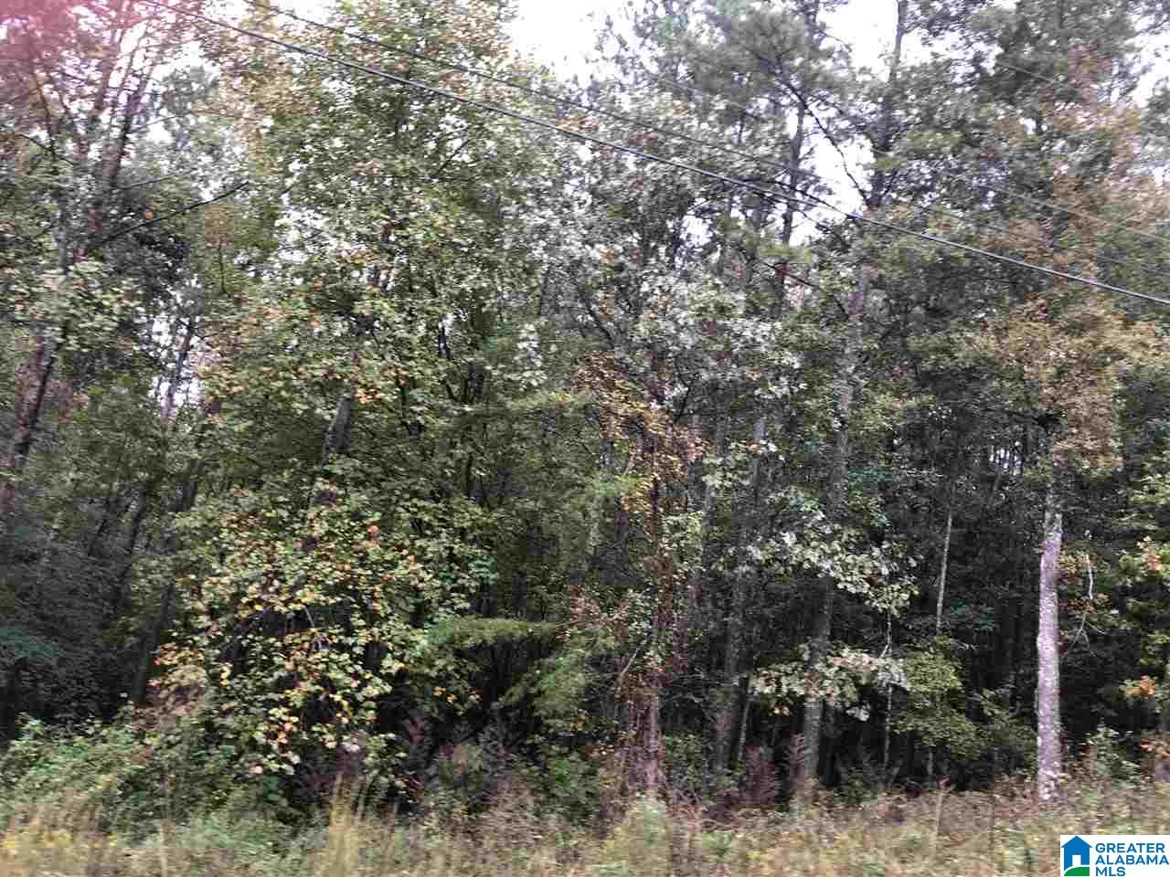 Homes for sale in Odenville, AL | 13 Hickory Lane, Odenville, AL 35120 | MLS# 1357213