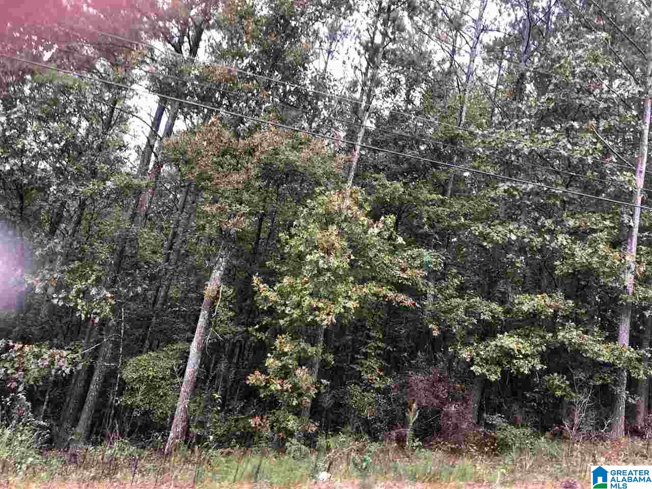 Homes for sale in Odenville, AL | 13 Hickory Lane, Odenville, AL 35120 | MLS# 1357213