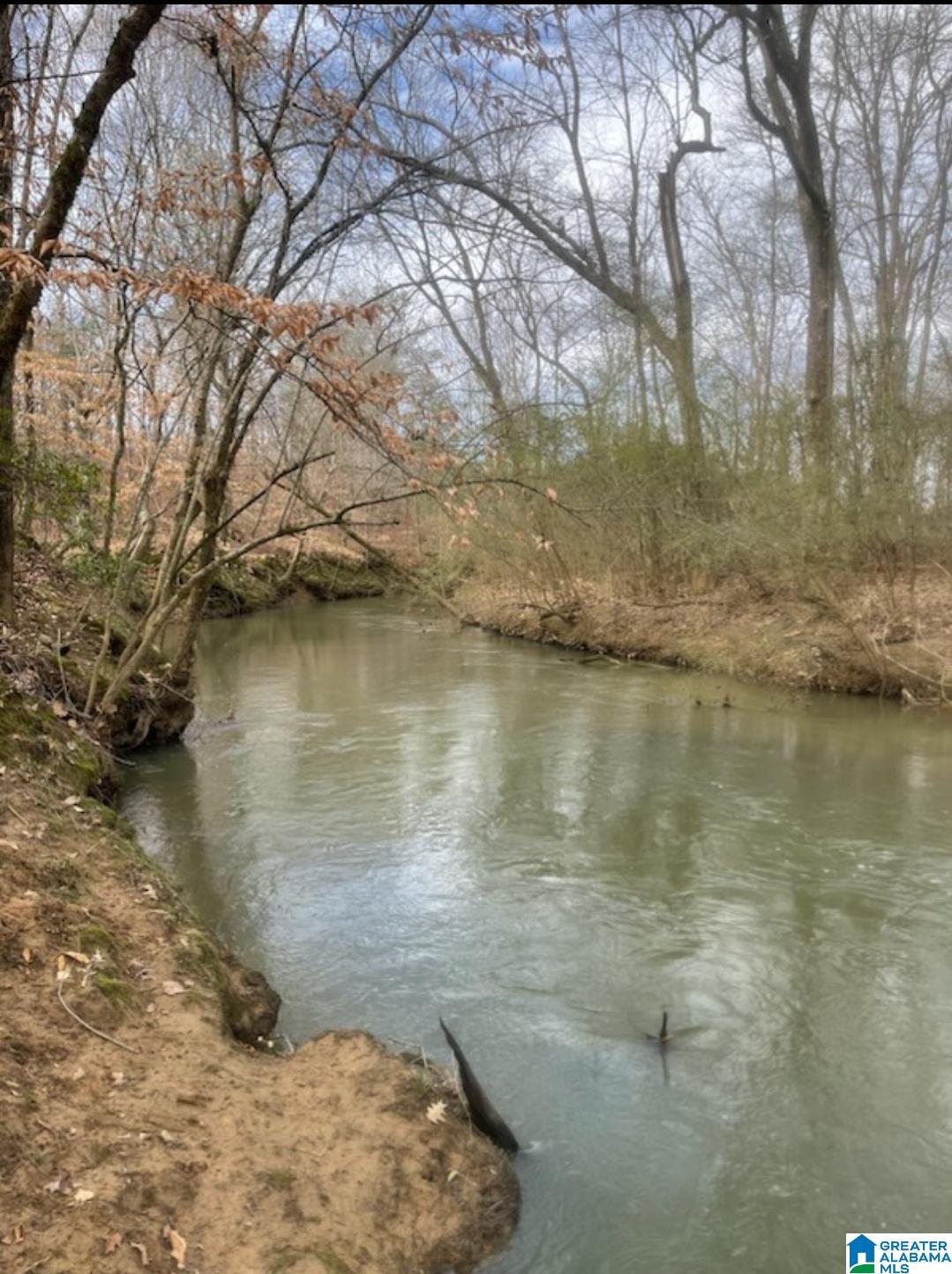 Homes for sale in Ohatchee, AL | 0 Bailey Springs Road, Ohatchee, AL 36271 | MLS# 1357492