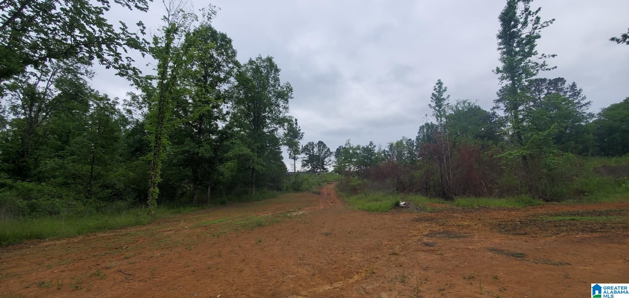 Homes for sale in Ohatchee, AL | 0 Bailey Springs Road, Ohatchee, AL 36271 | MLS# 1357492