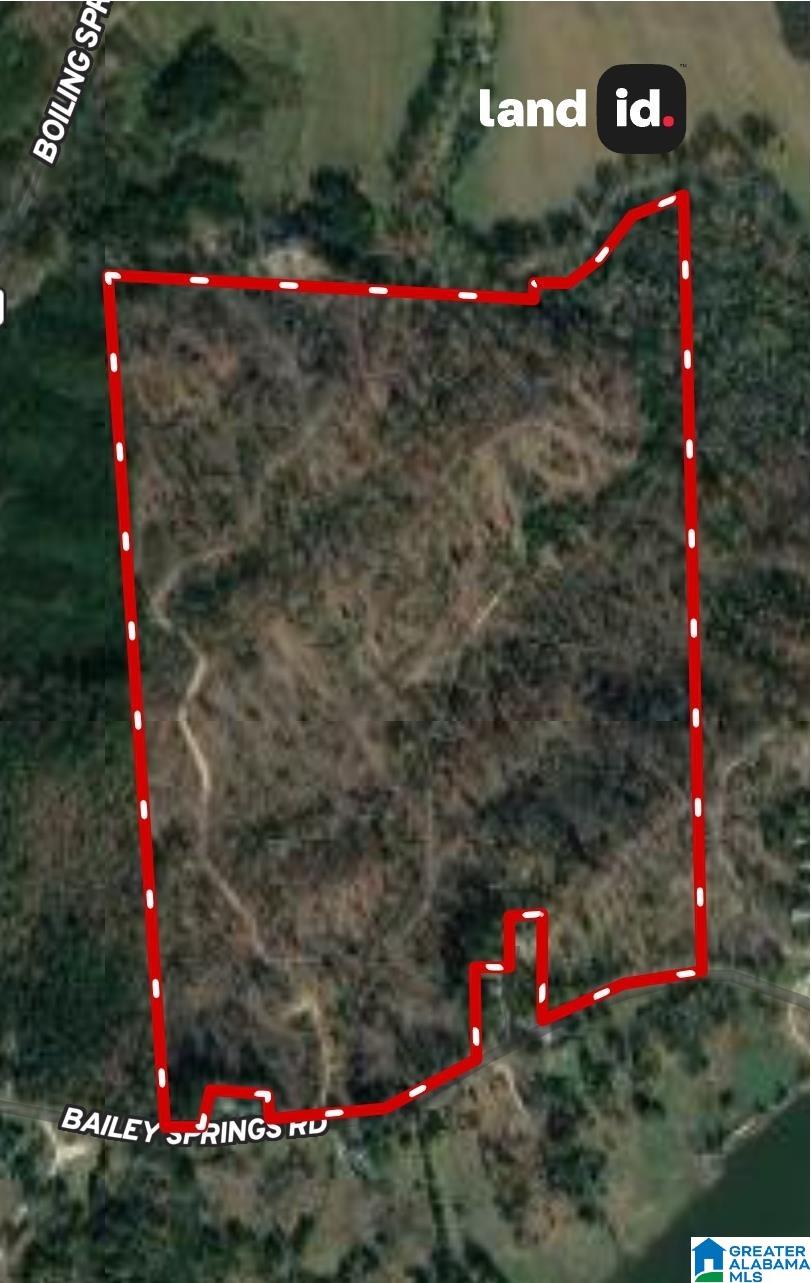 Homes for sale in Ohatchee, AL | 0 Bailey Springs Road, Ohatchee, AL 36271 | MLS# 1357492