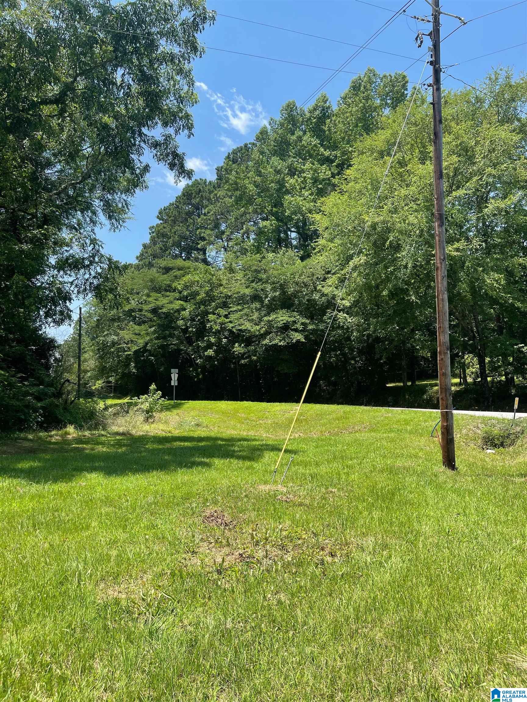 Homes for sale in Columbiana, AL | Hwy 30 Old Hwy 25, Columbiana, AL 35051 | MLS# 1358135