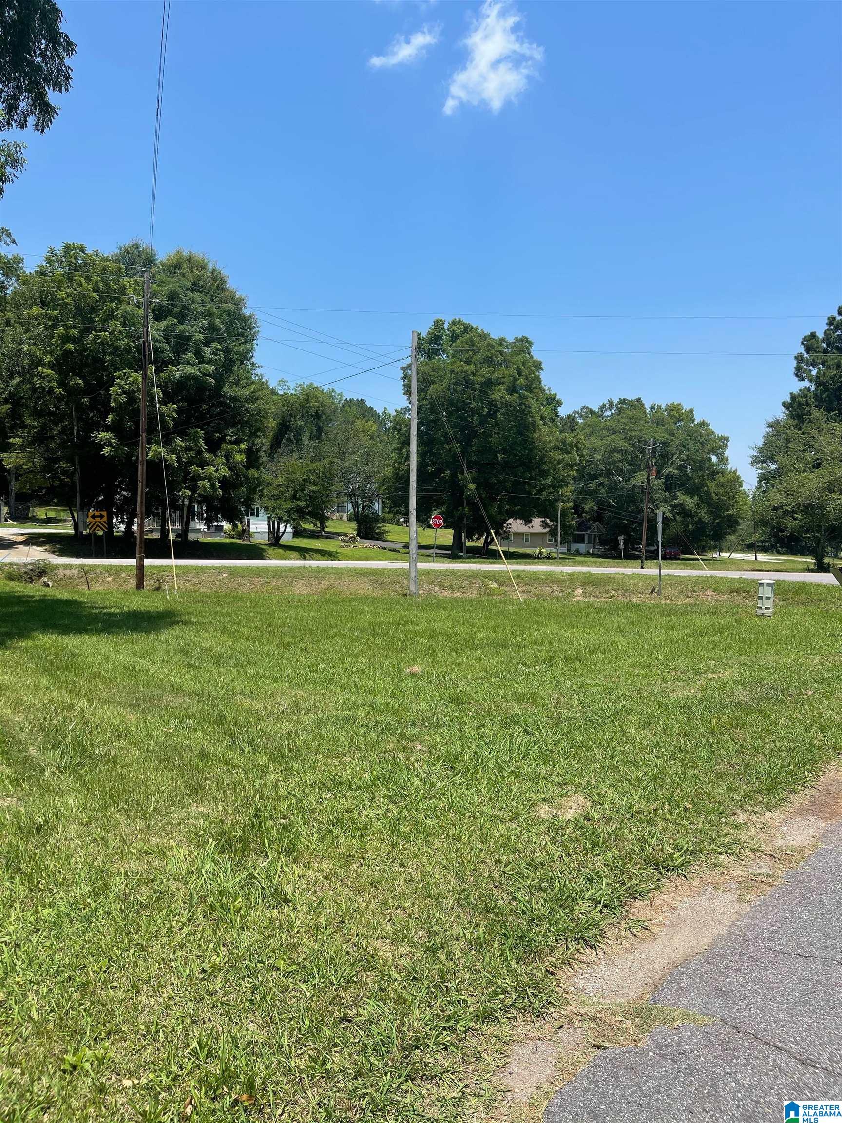 Homes for sale in Columbiana, AL | Hwy 30 Old Hwy 25, Columbiana, AL 35051 | MLS# 1358135