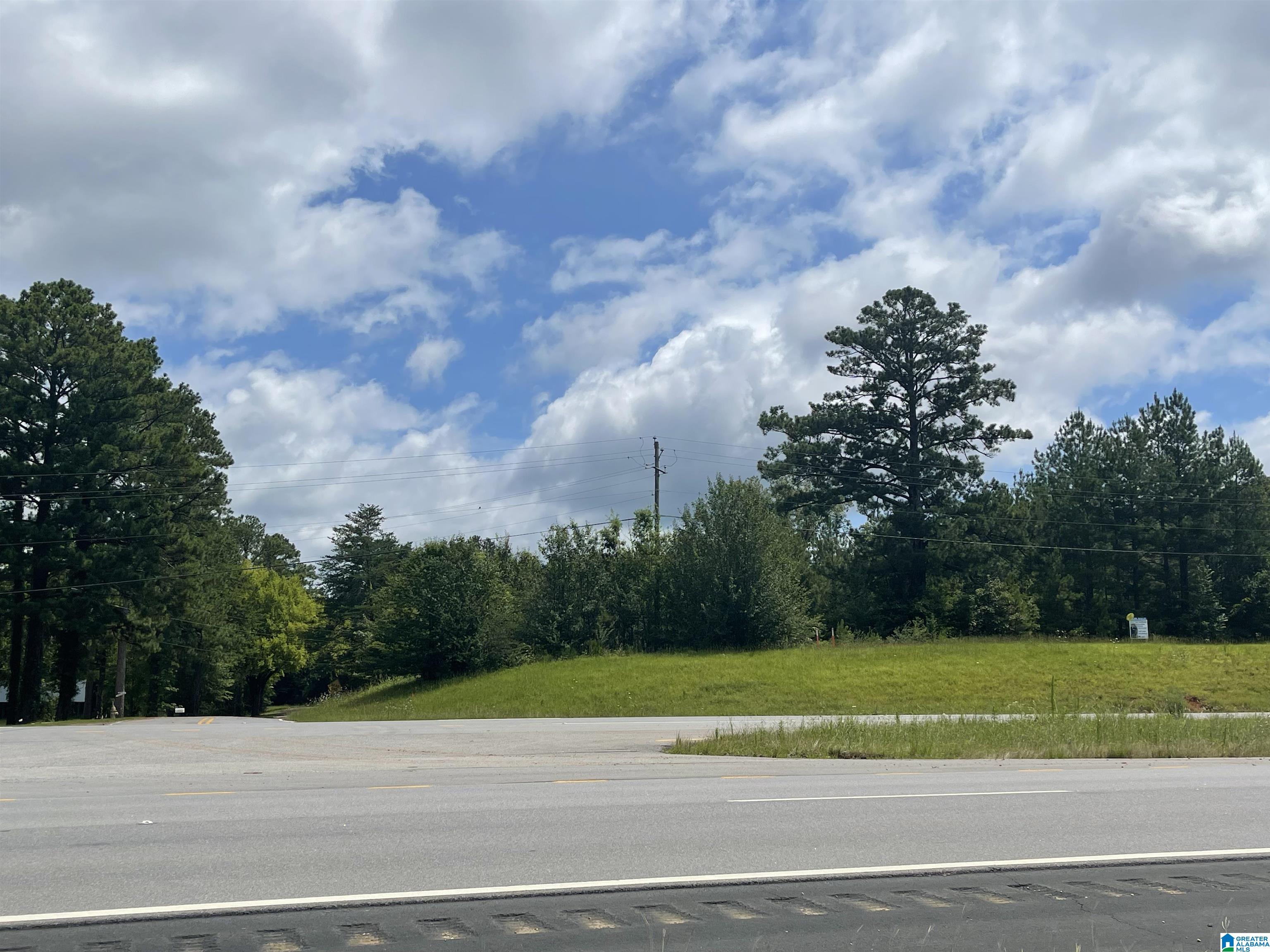 1832 Highway 280, HARPERSVILLE, Alabama image 1