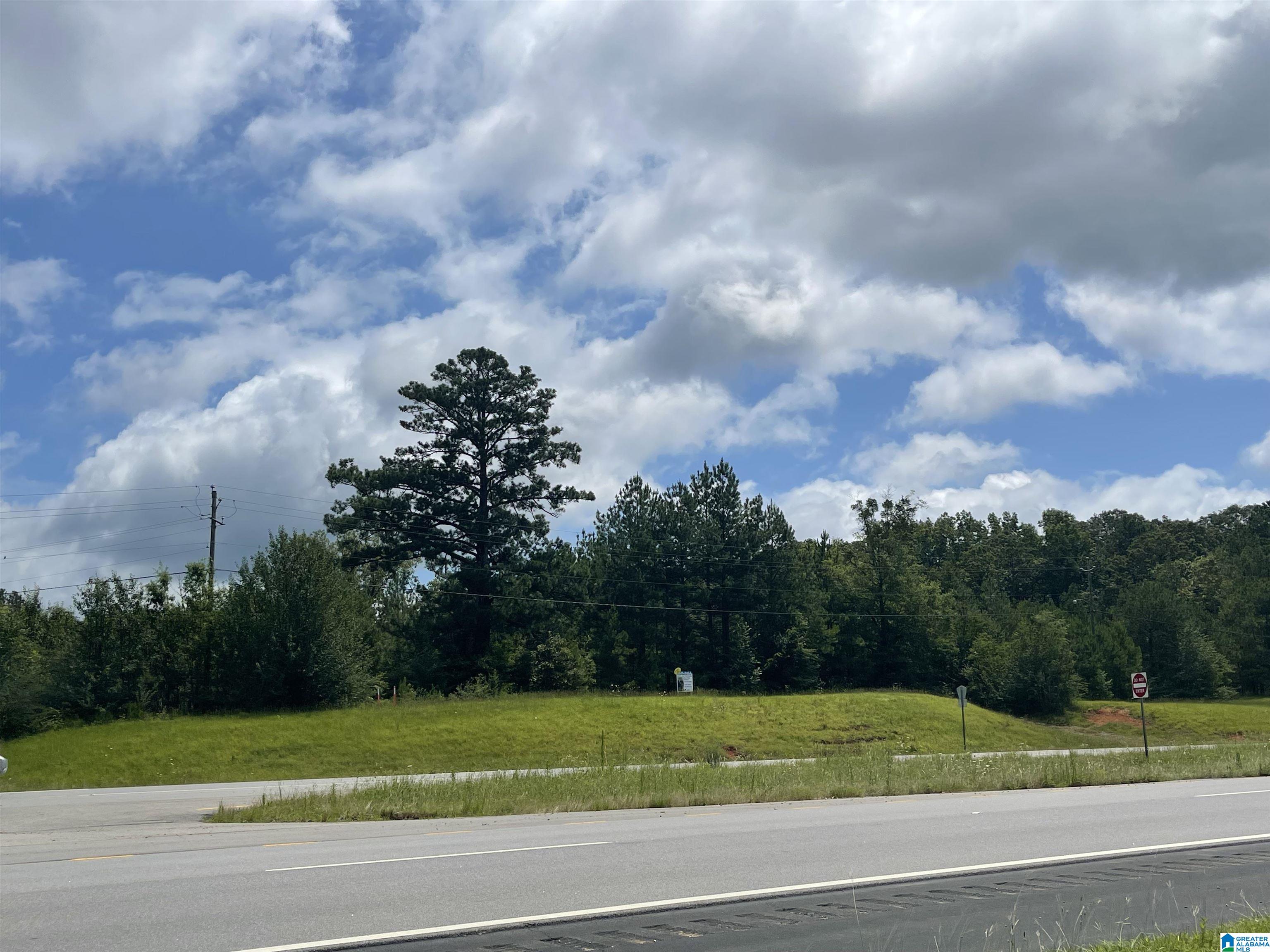 1832 Highway 280, HARPERSVILLE, Alabama image 6
