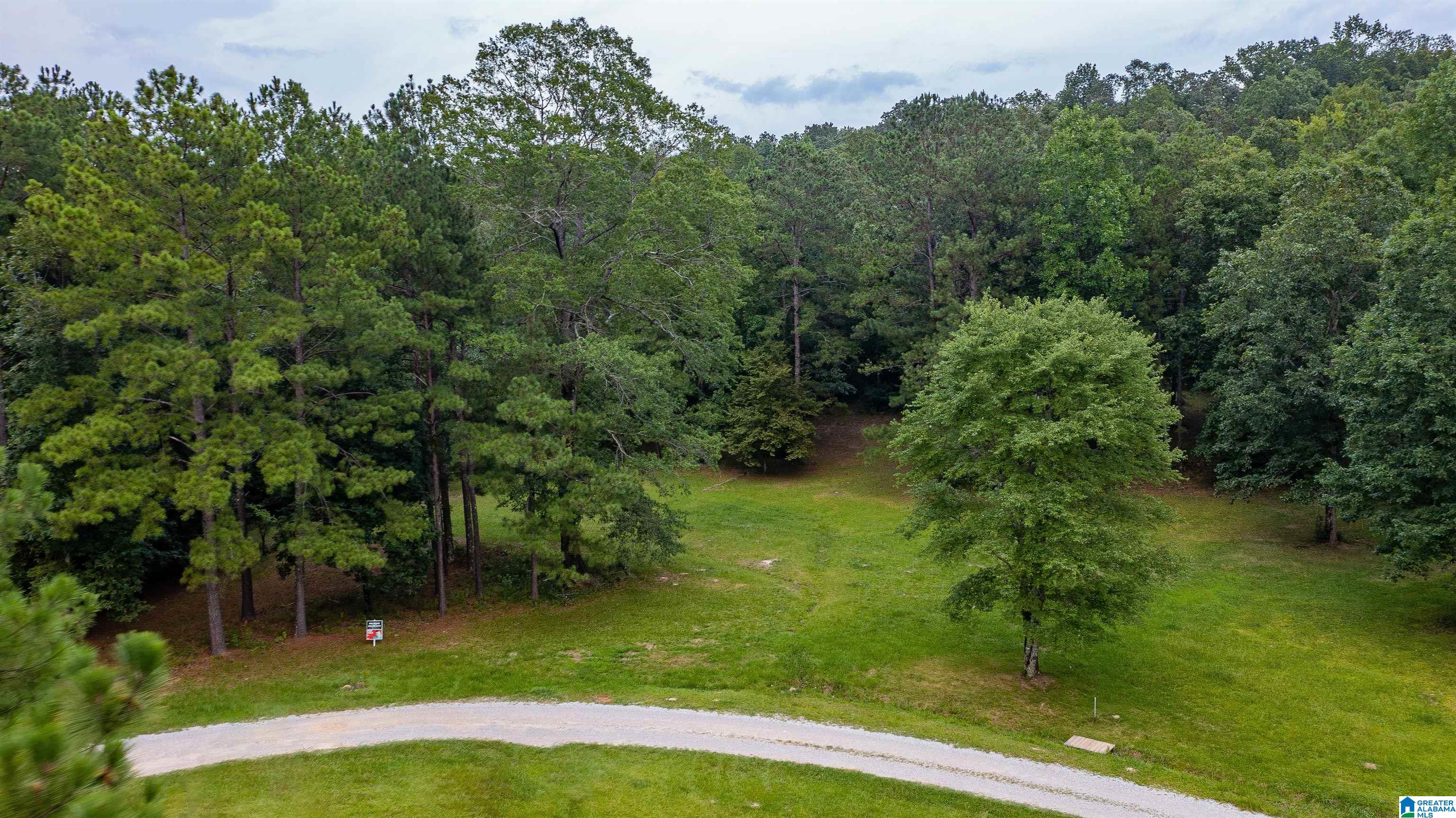 Lot 1 BROOKVIEW LANE