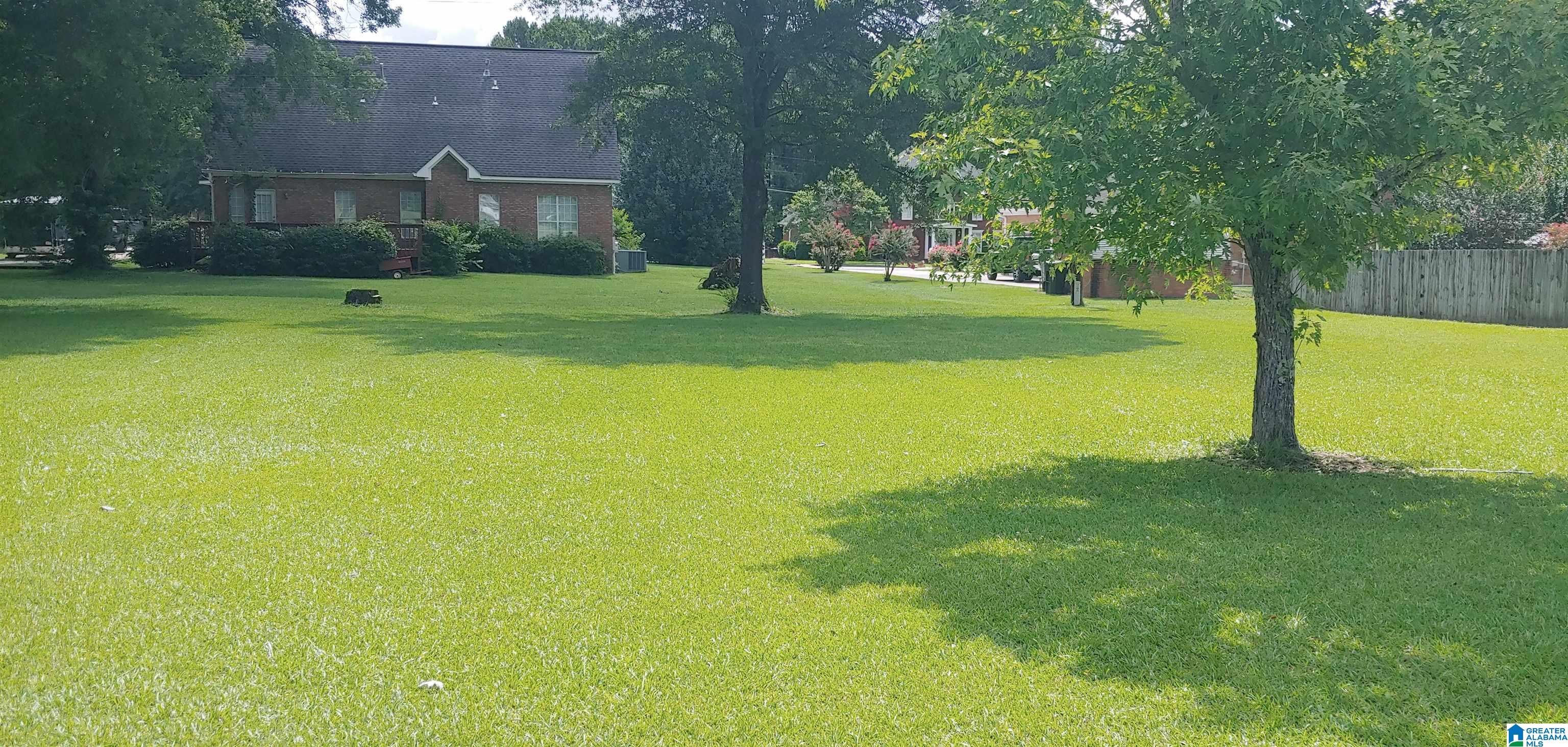 Realtor in Sylacauga & Birmingham, AL by Area Real Estate Inc